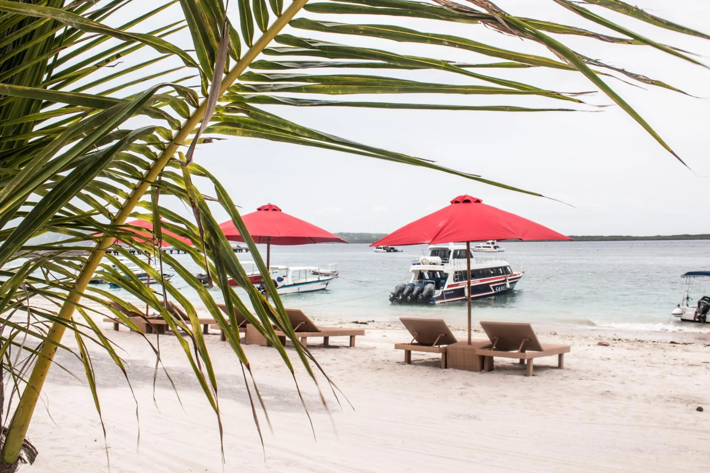 Beach in Maruti Beach Club