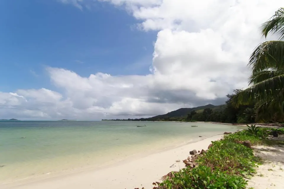 Natural landscape in Palm Beach Hotel