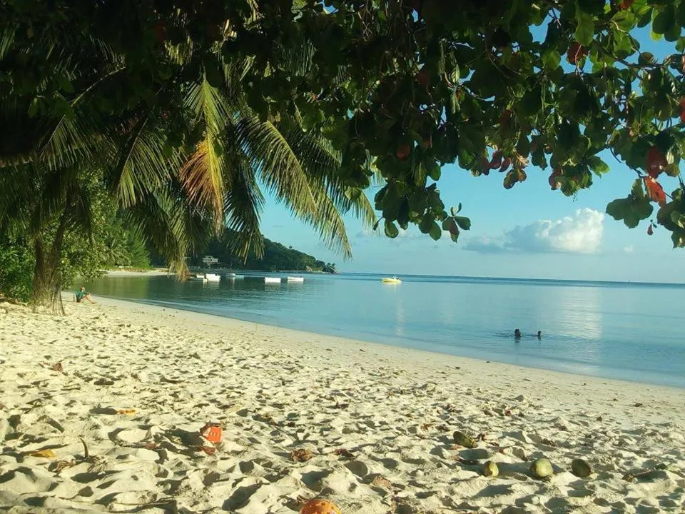 Beach in Palm Beach Hotel
