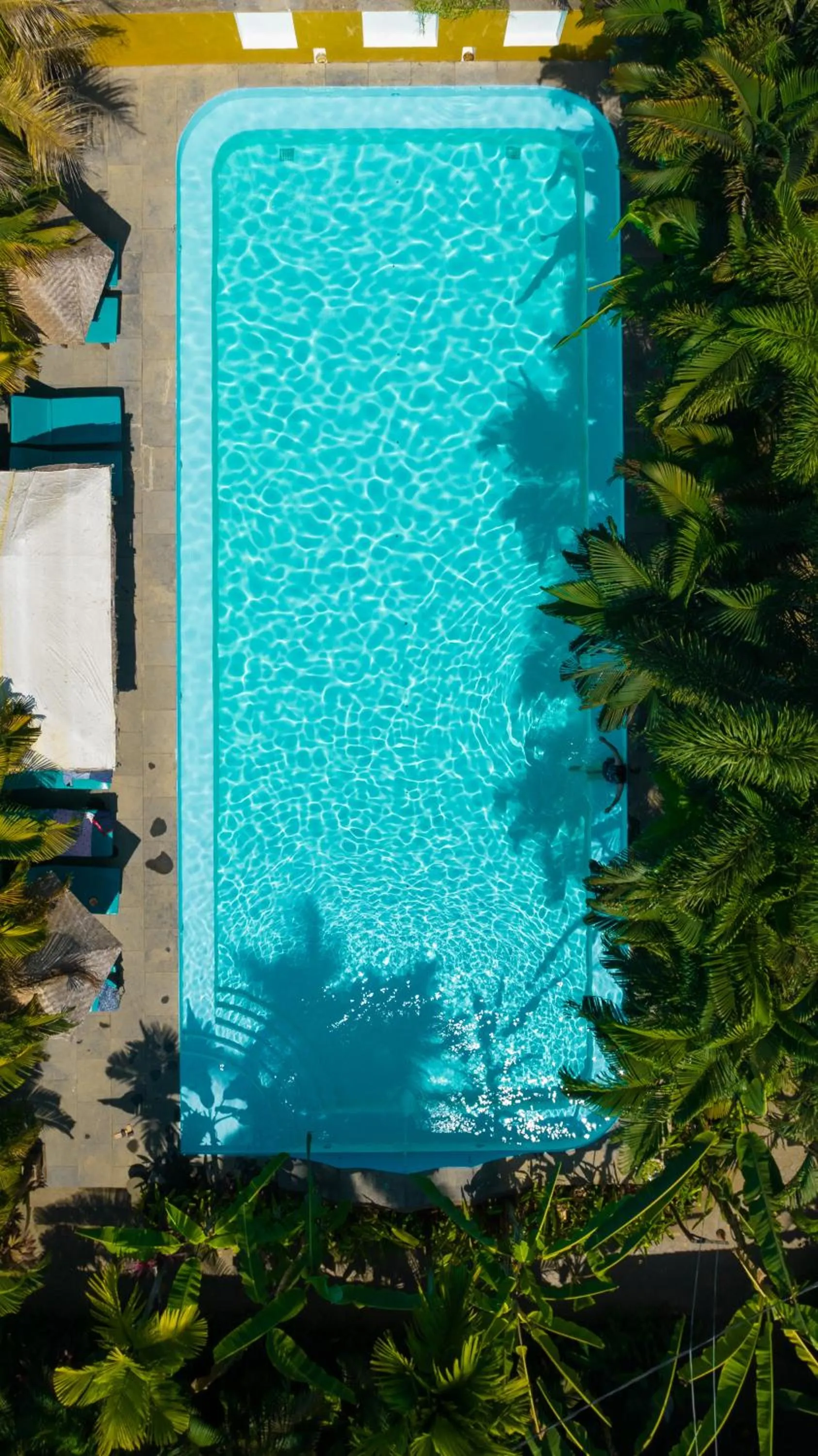 Swimming pool in juSTa Morjim Beach Resort Goa - 80 Steps from Morjim Beach