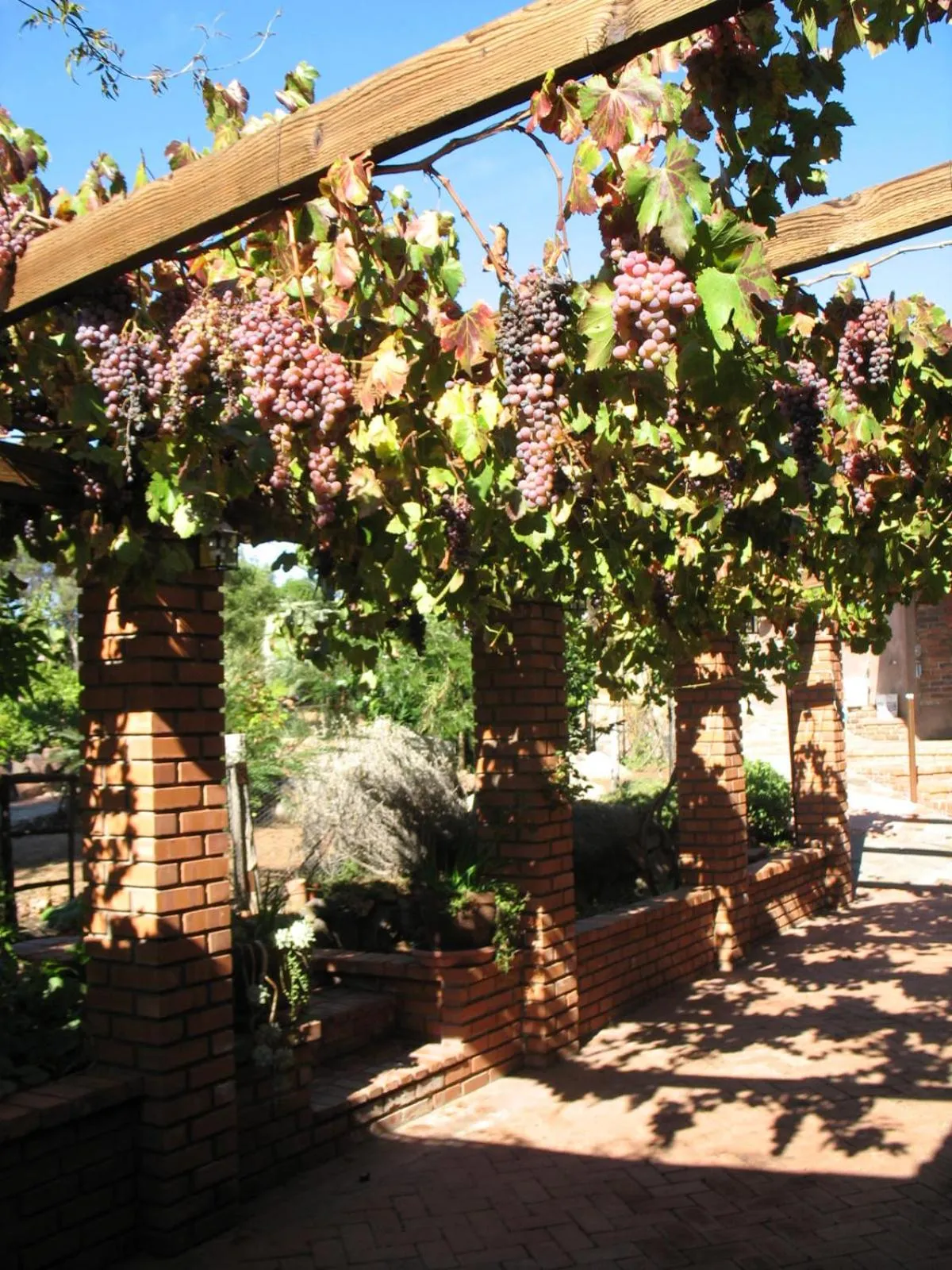 Patio in Quinta Maria en la Ruta del Vino