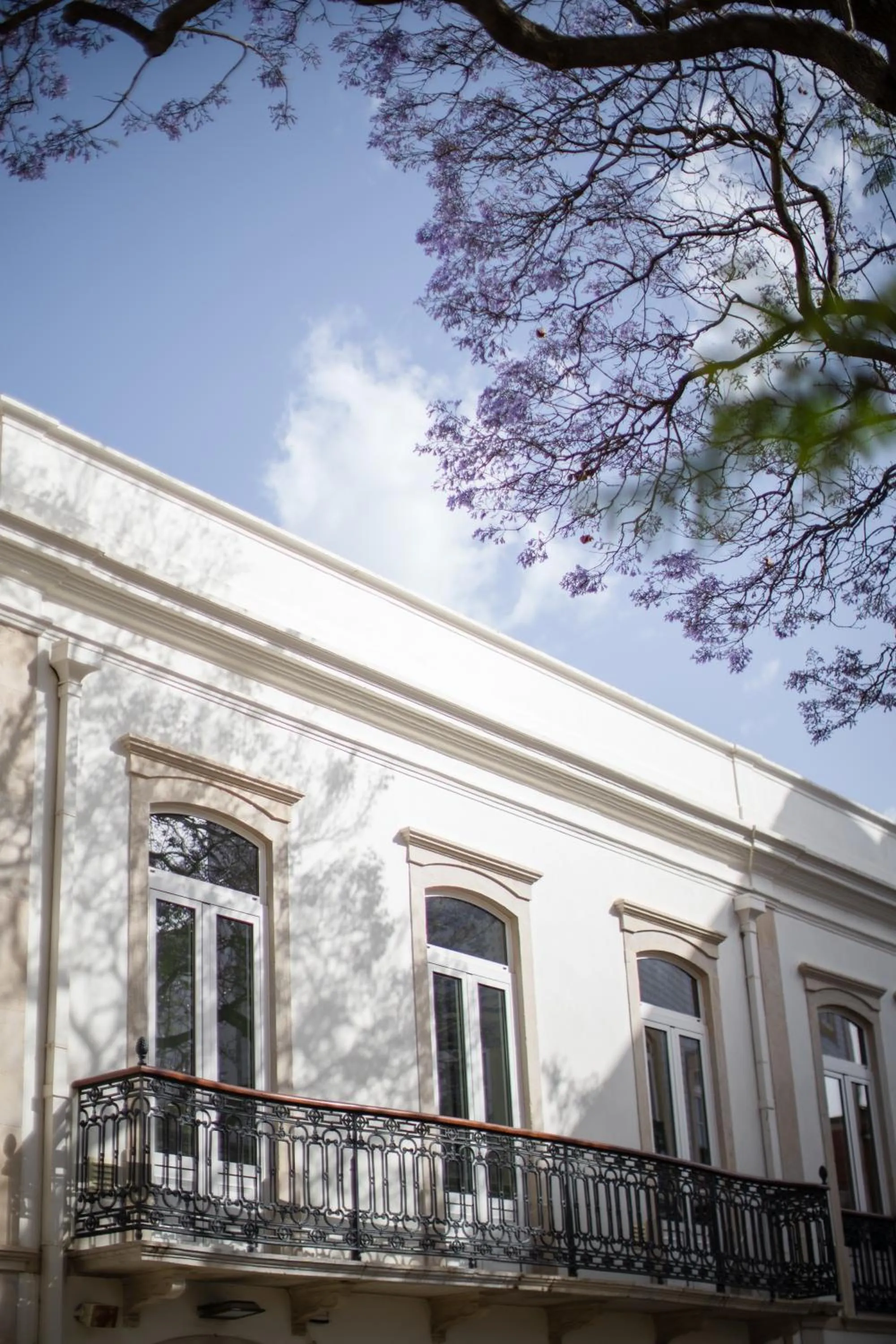 Property building in Casa Margô