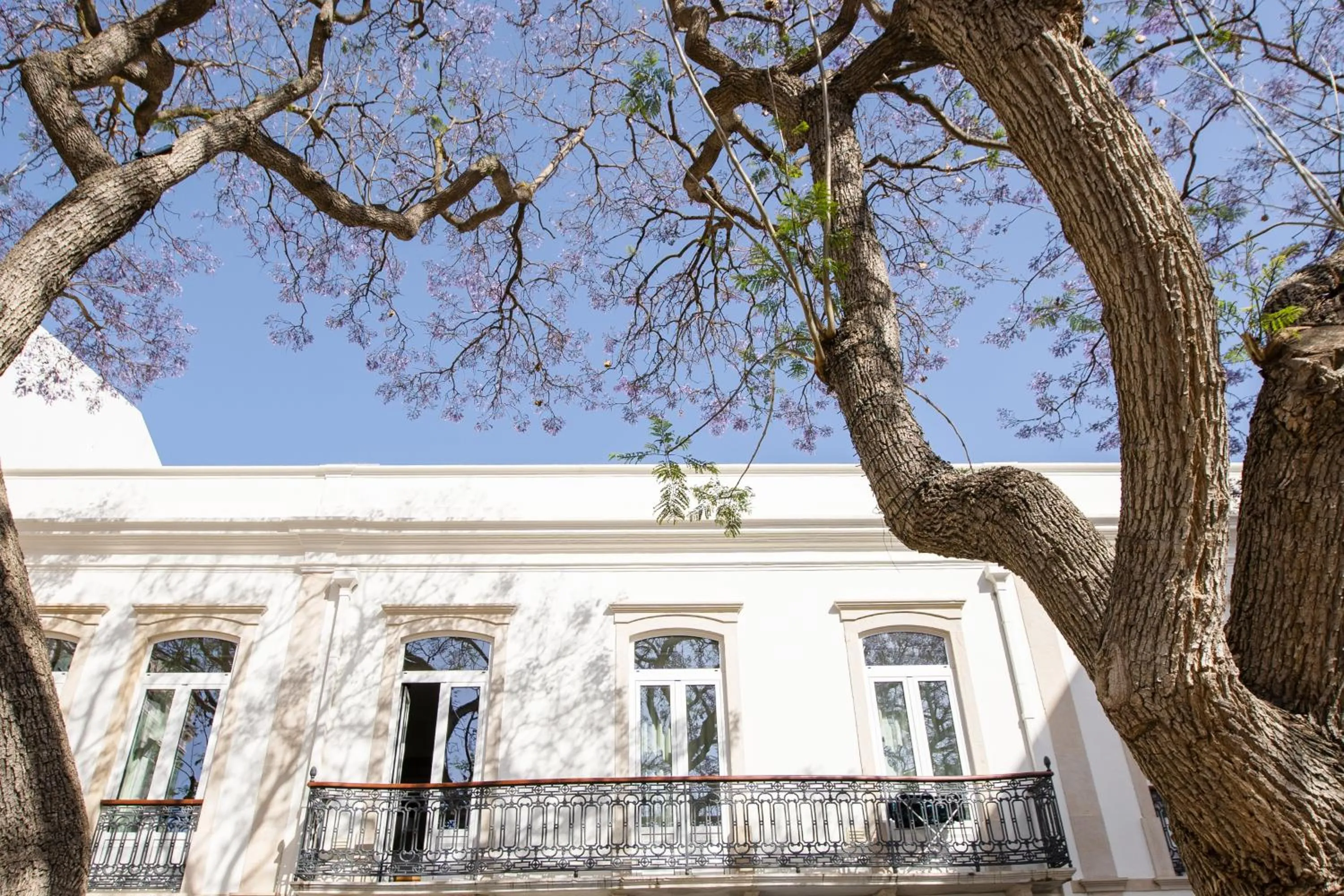 Property building in Casa Margô