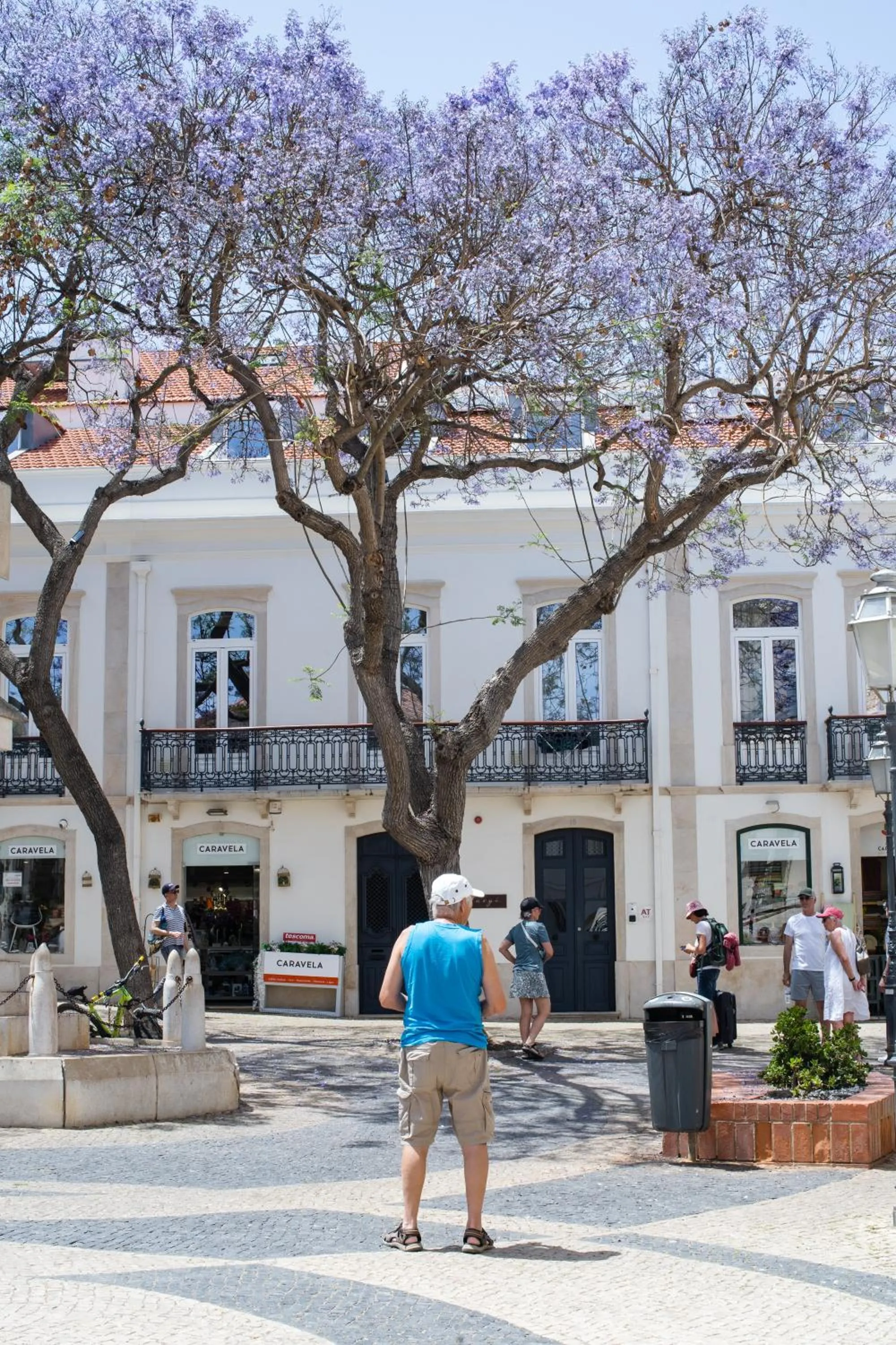 Property building in Casa Margô