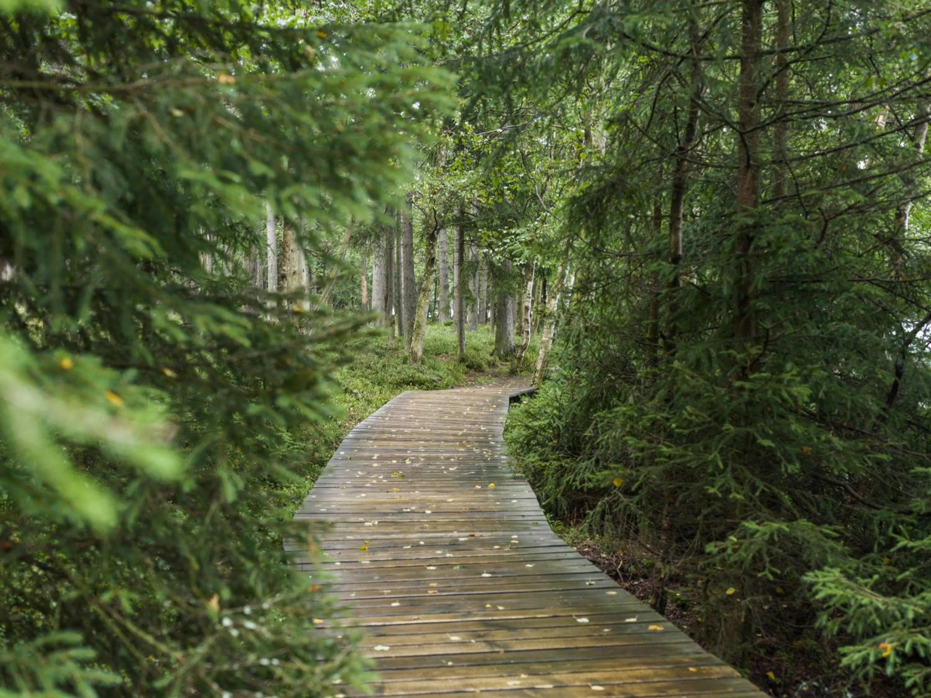 Neighbourhood in Falkensteiner Spa Resort Marianske Lazne