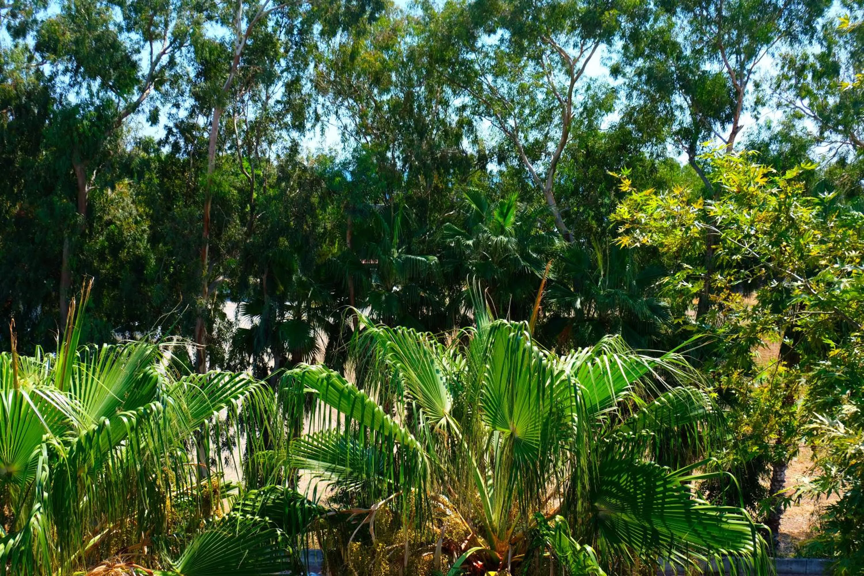 Natural landscape in Vega Suites