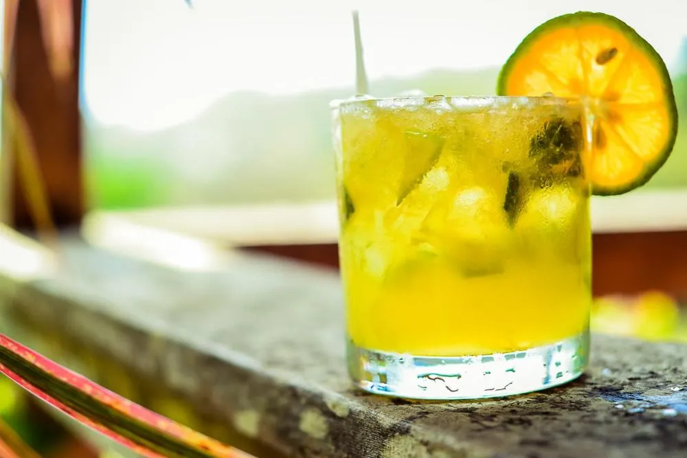 Lounge or bar in Hotel Montaña Monteverde