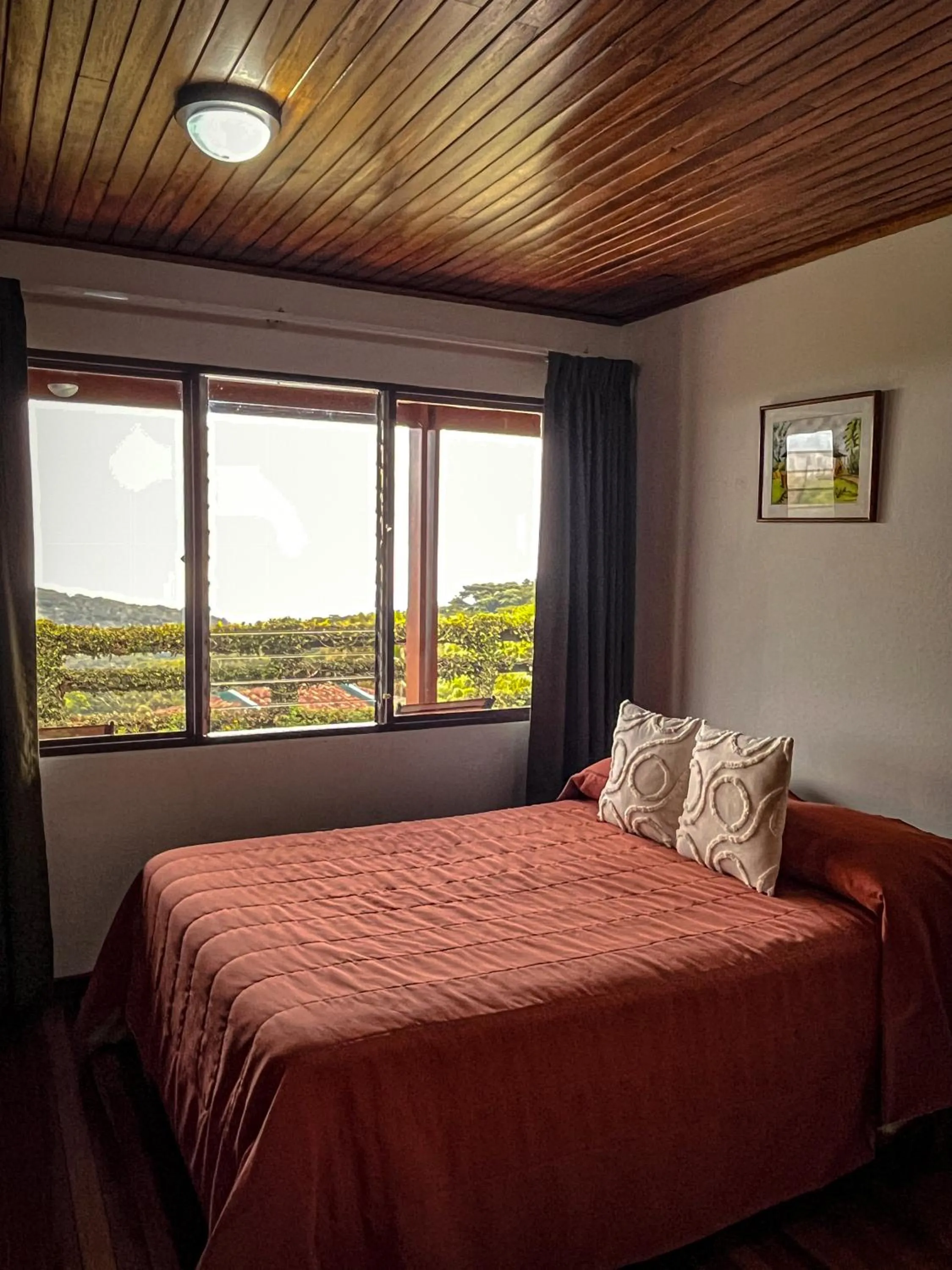 Bedroom, Bed in Hotel Montaña Monteverde