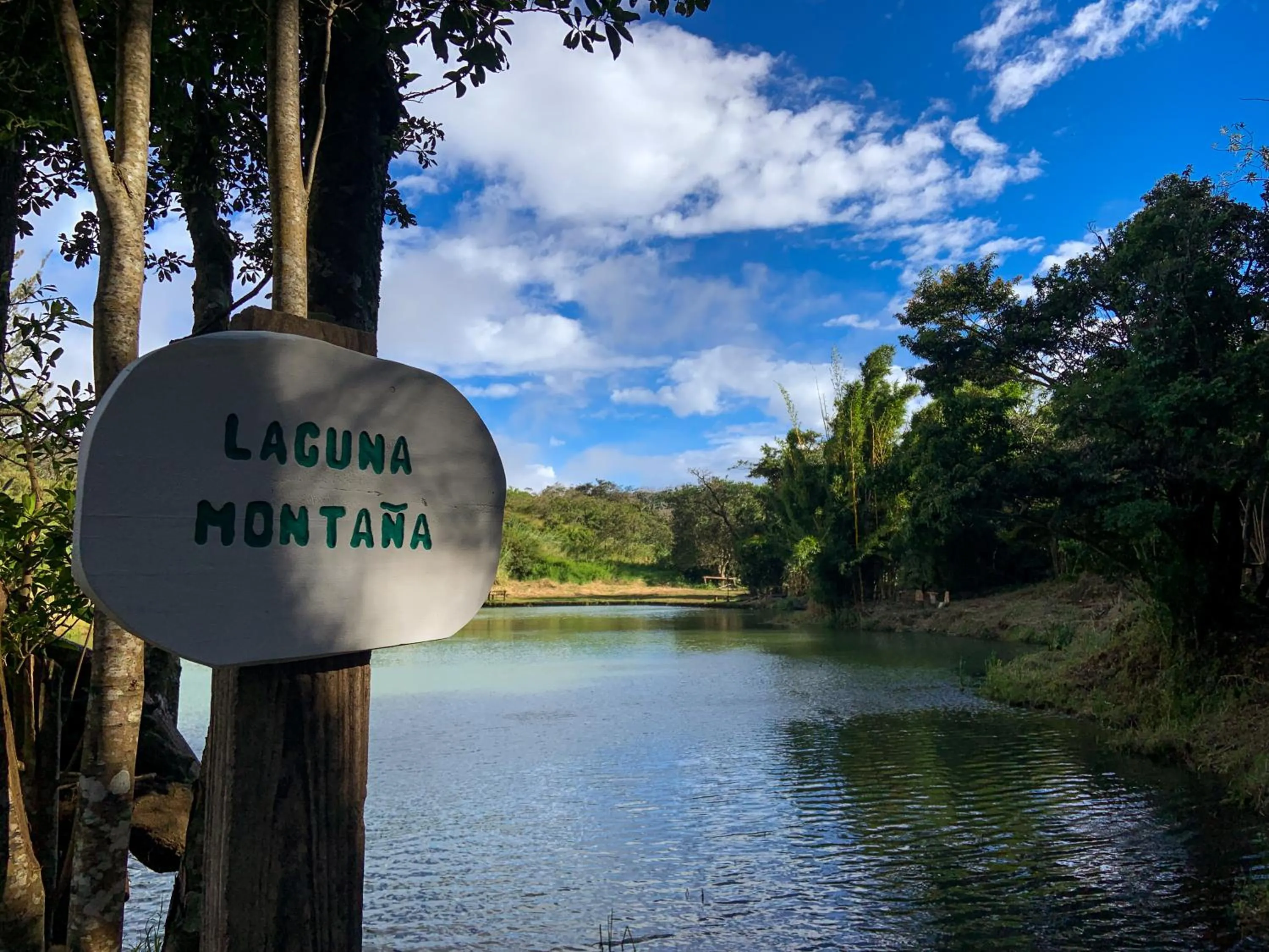 Hiking in Hotel Montaña Monteverde