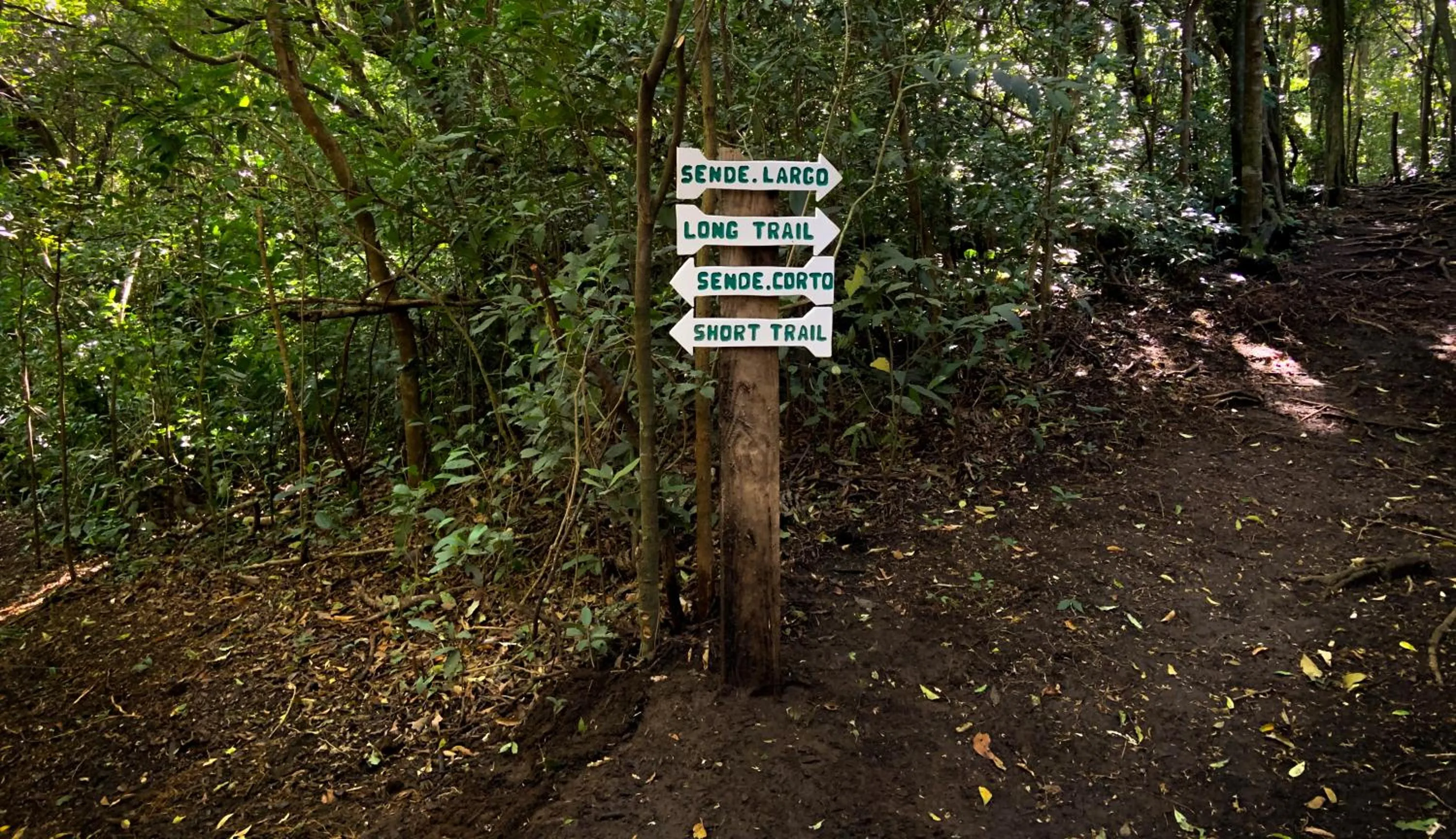 Hiking in Hotel Montaña Monteverde