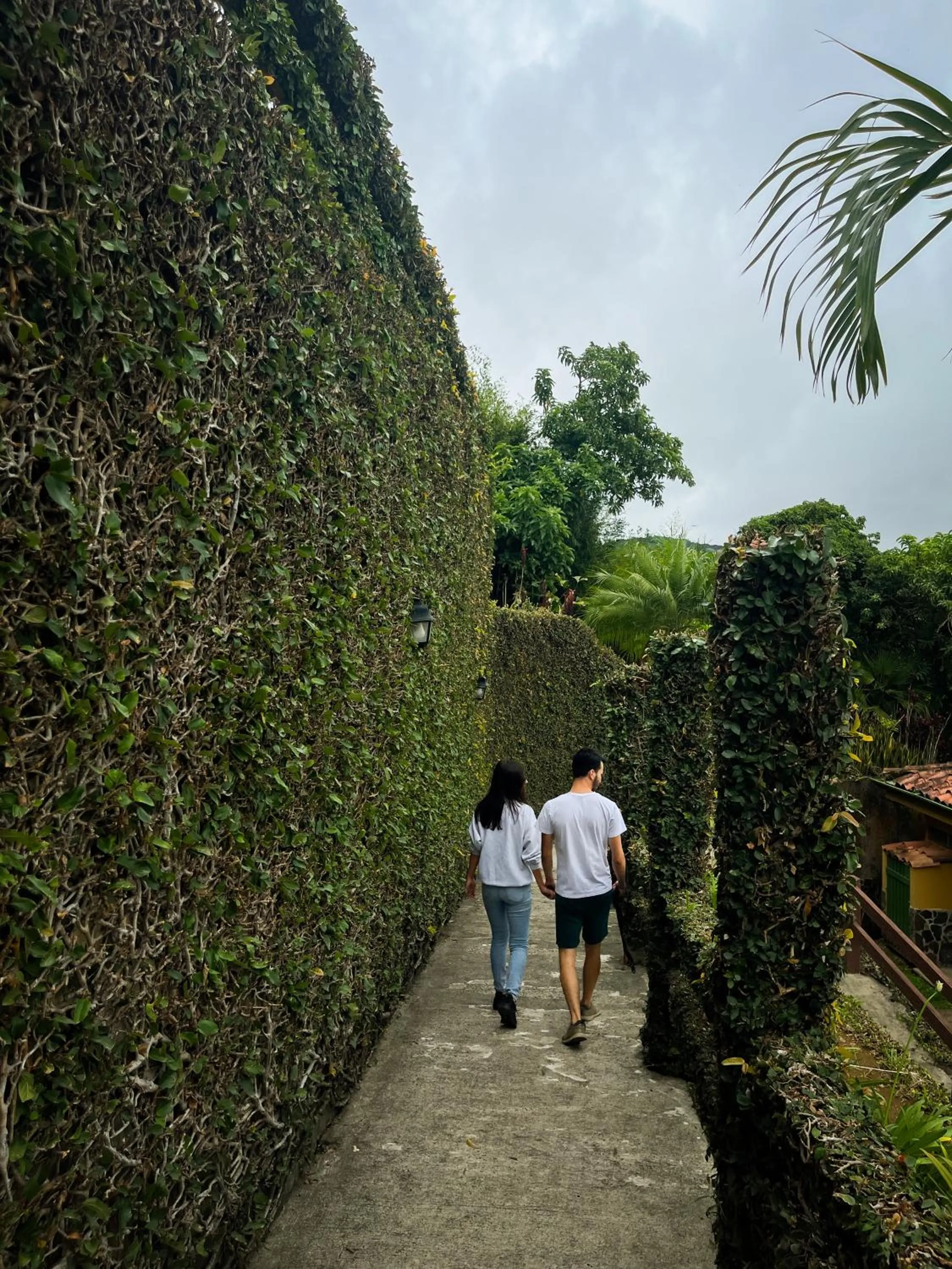 Property building in Hotel Montaña Monteverde