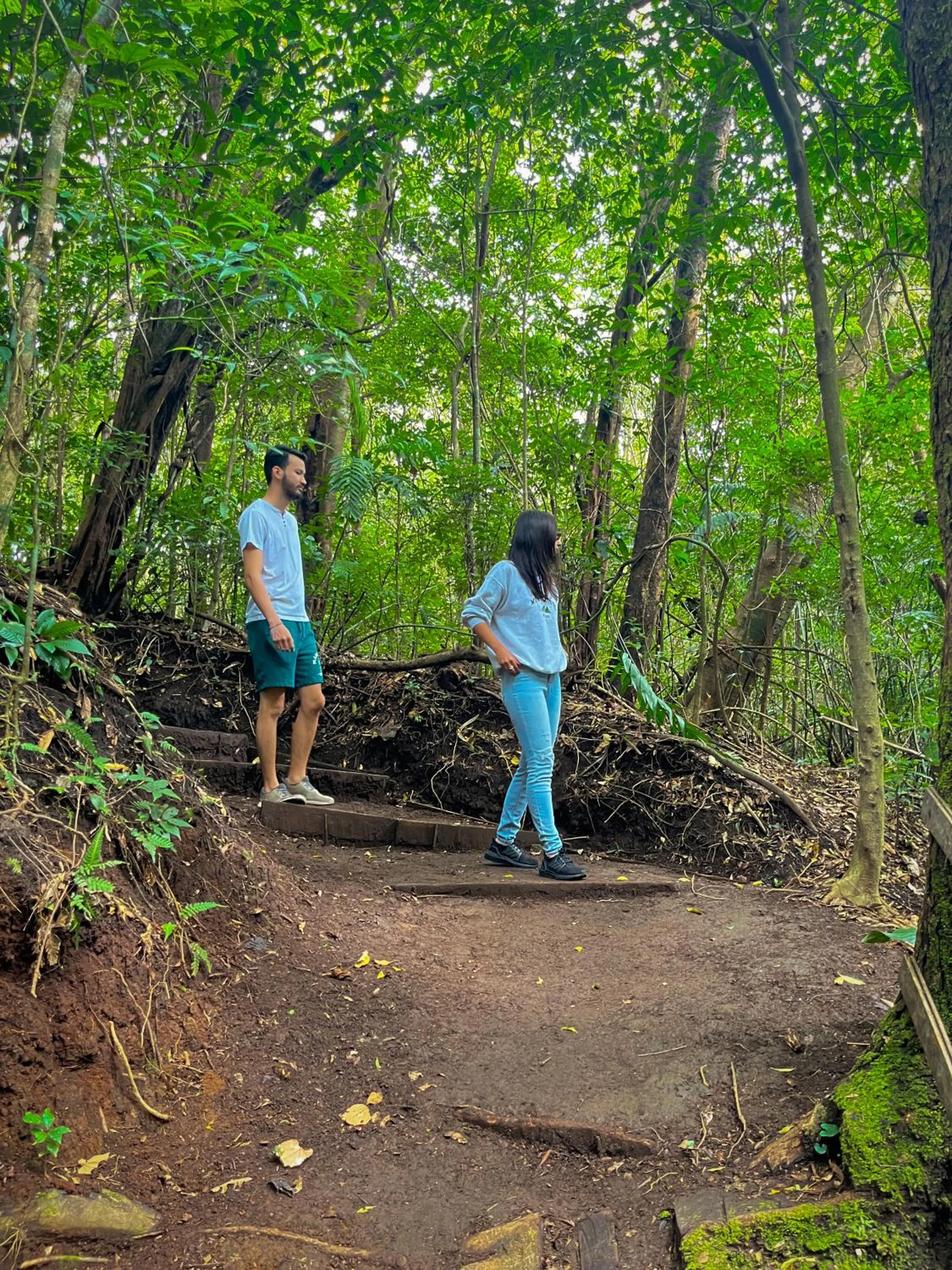 Hiking in Hotel Montaña Monteverde