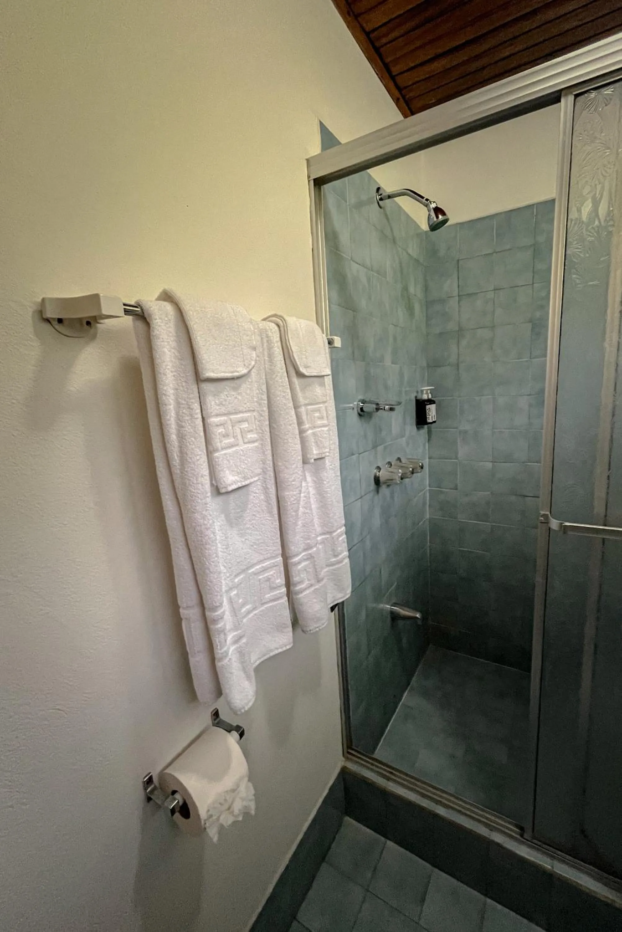 Shower in Hotel Montaña Monteverde