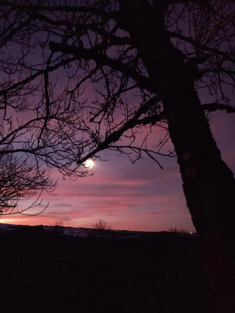 Garden in Maison d'Hôtes La Grange