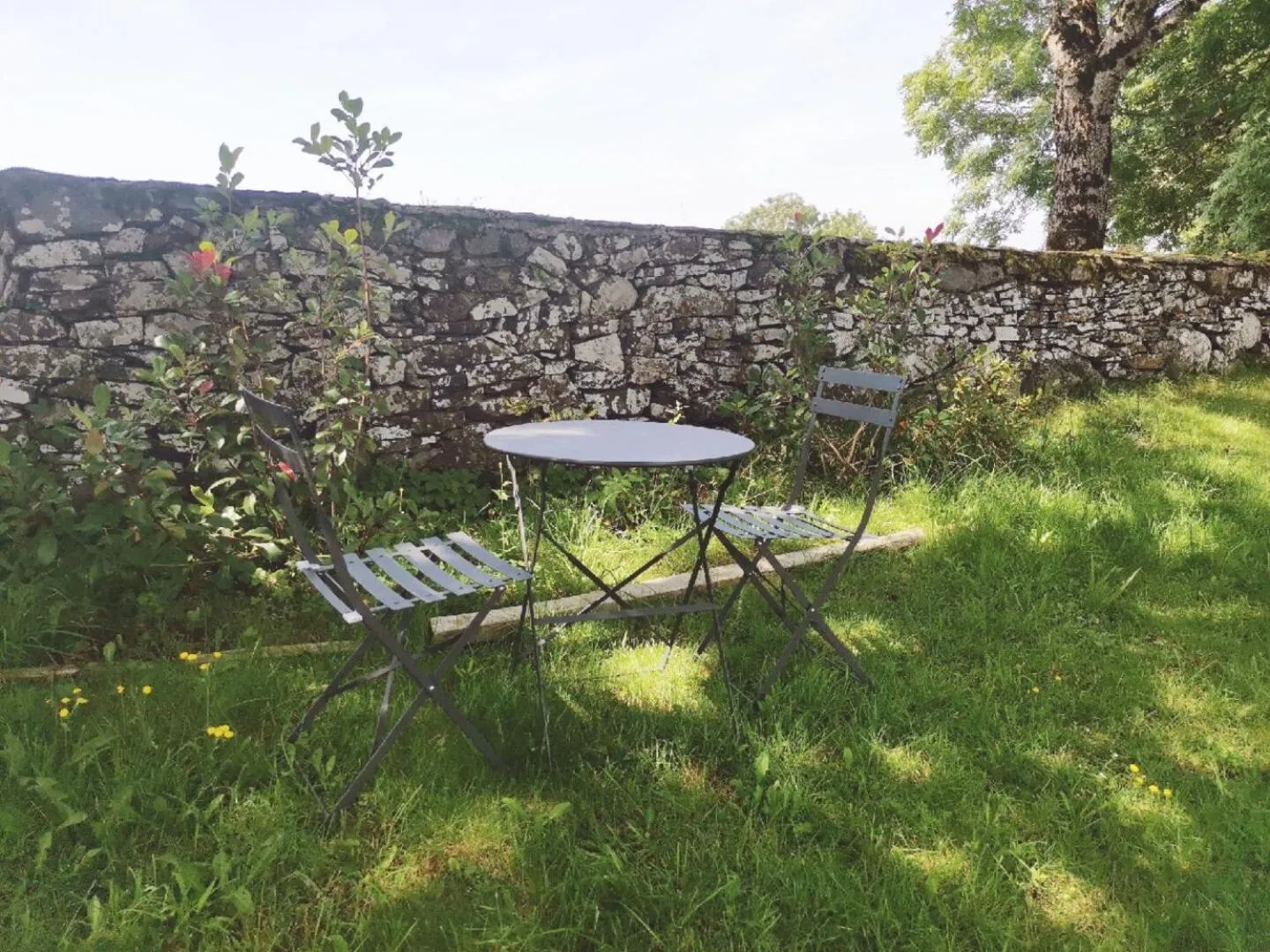 Garden in Maison d'Hôtes La Grange