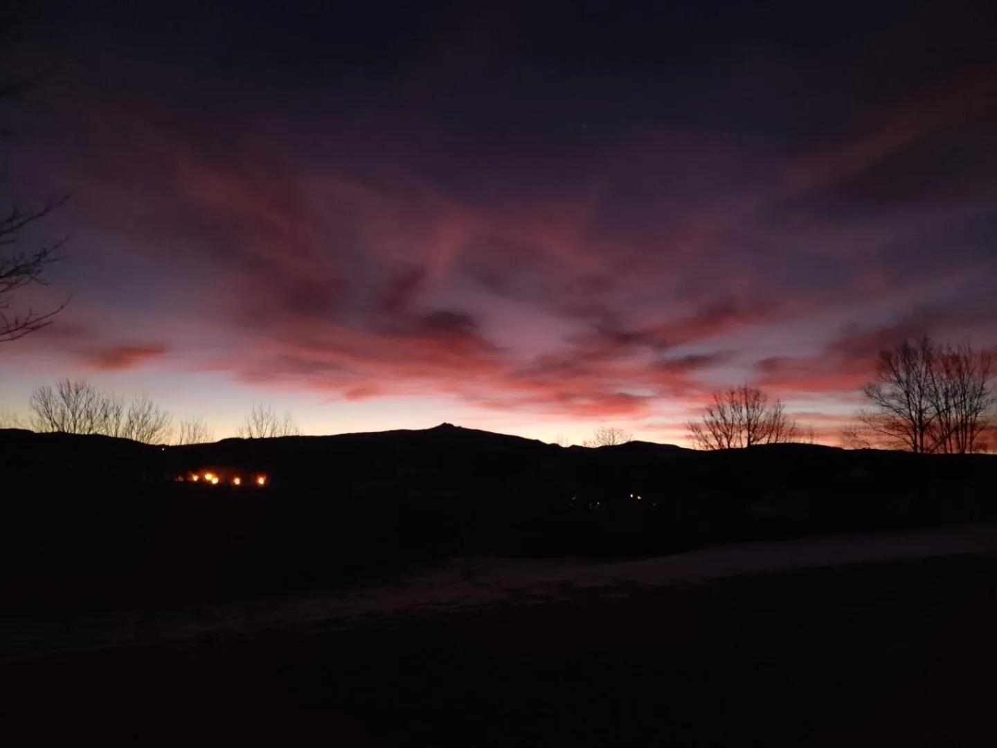 Garden in Maison d'Hôtes La Grange