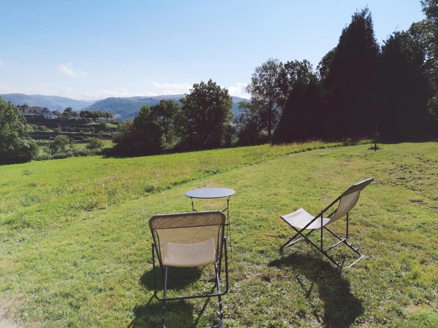Garden in Maison d'Hôtes La Grange