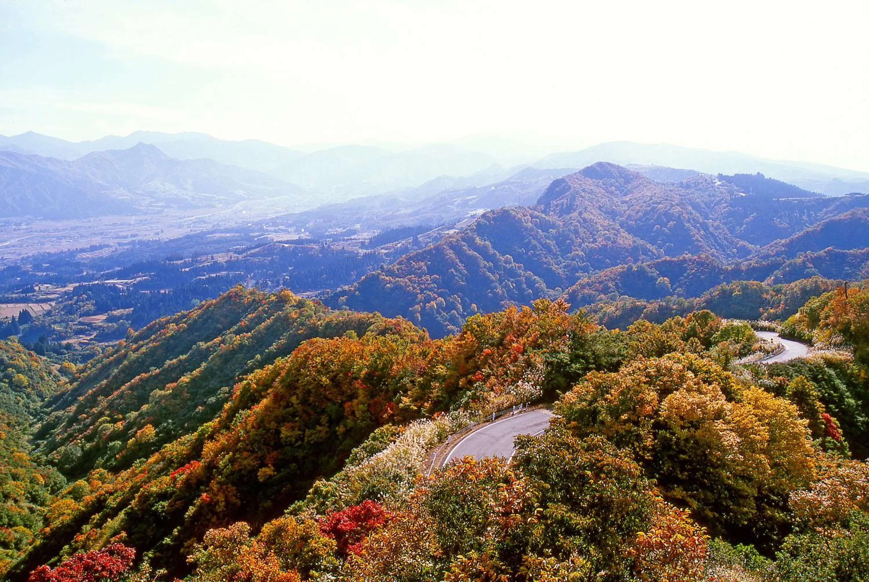 Natural landscape in Pension Oz