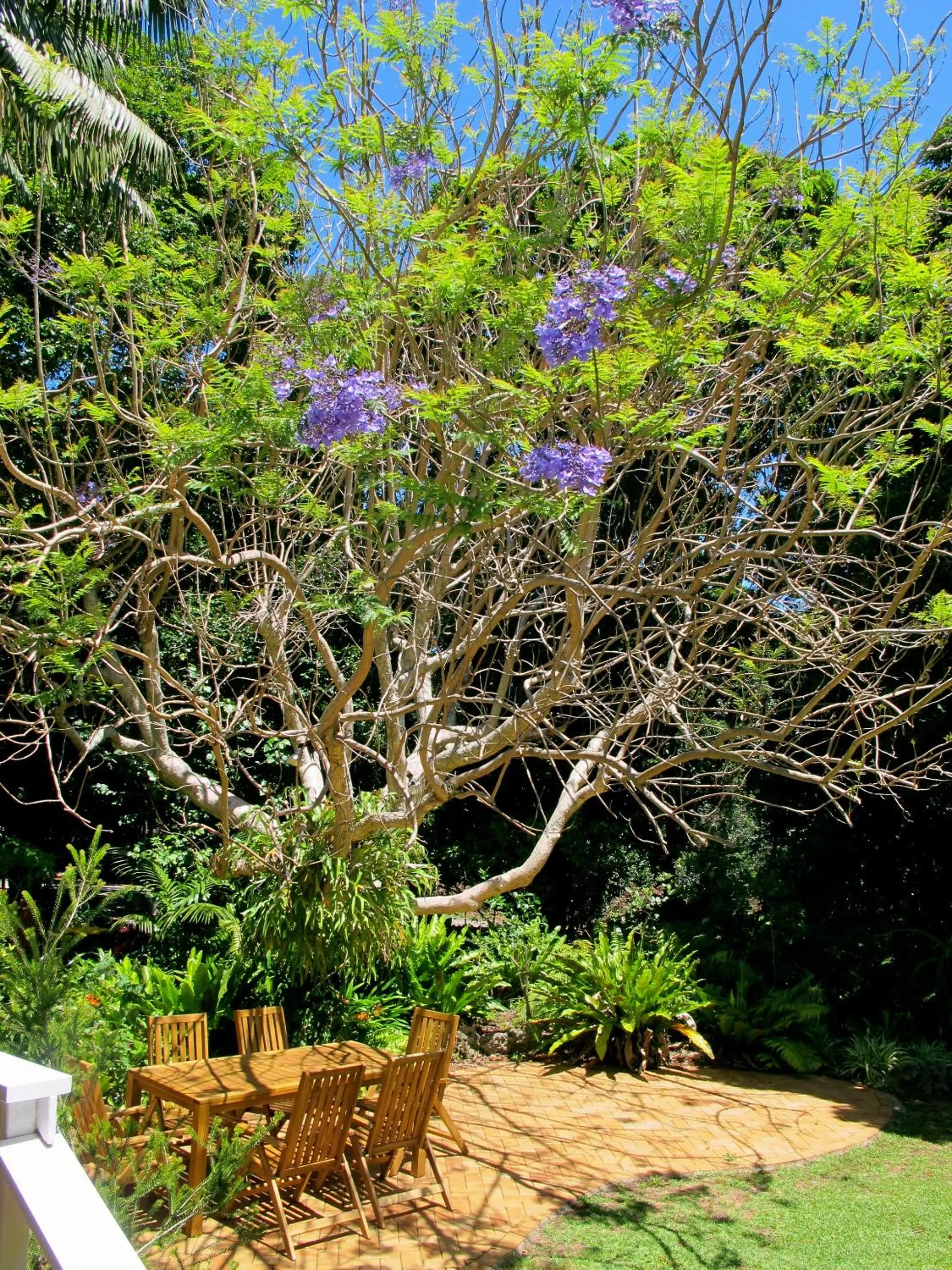 Day in Beachcomber Lodge