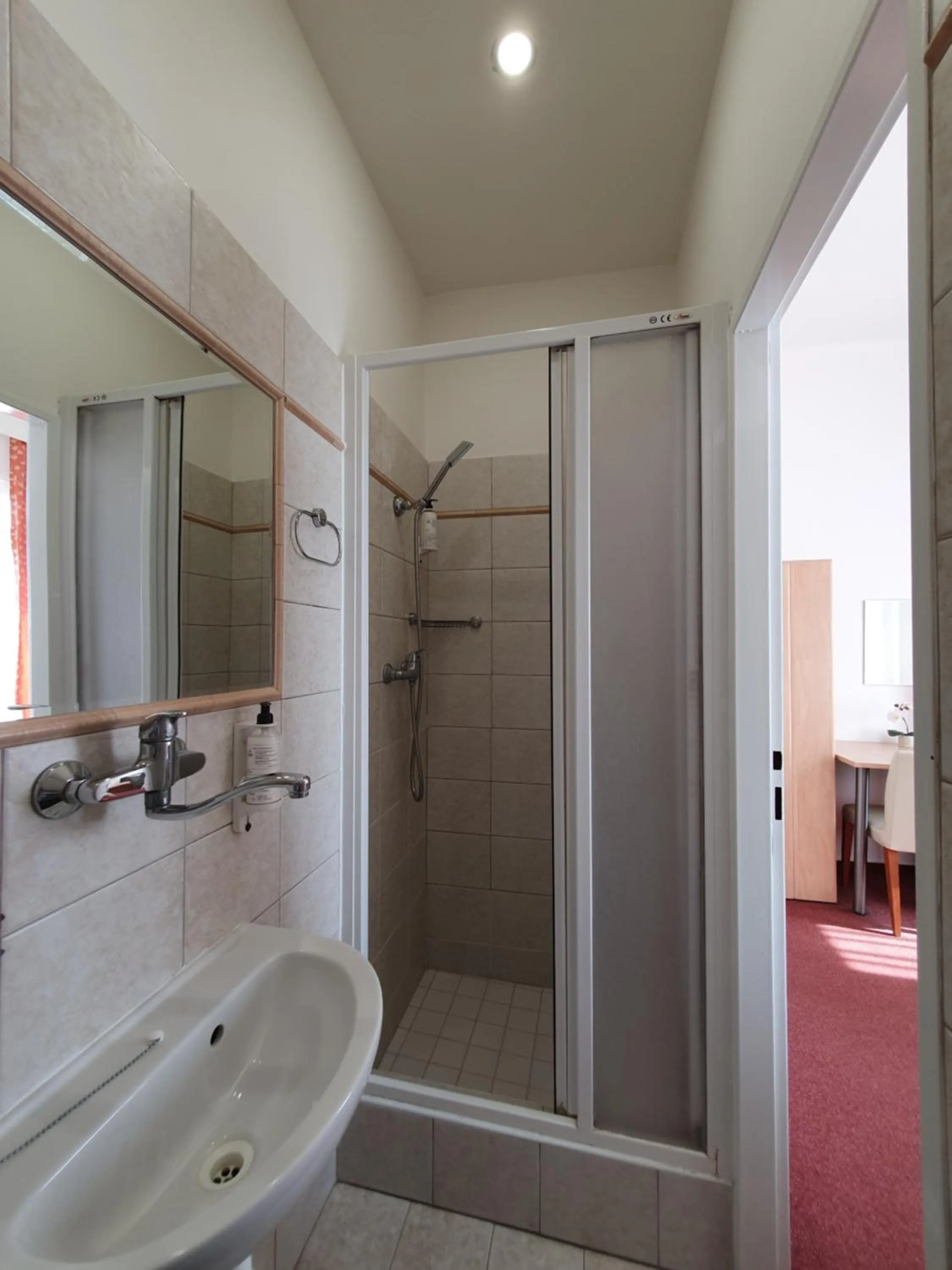 Bathroom in Pension Jana - Domov Mládeže