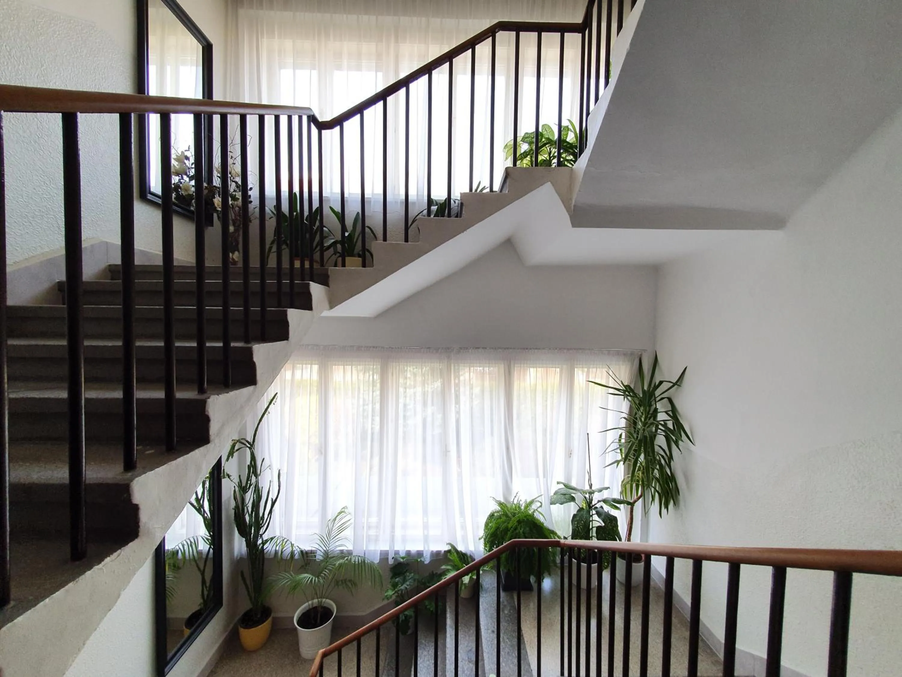 Area and facilities in Pension Jana - Domov Mládeže