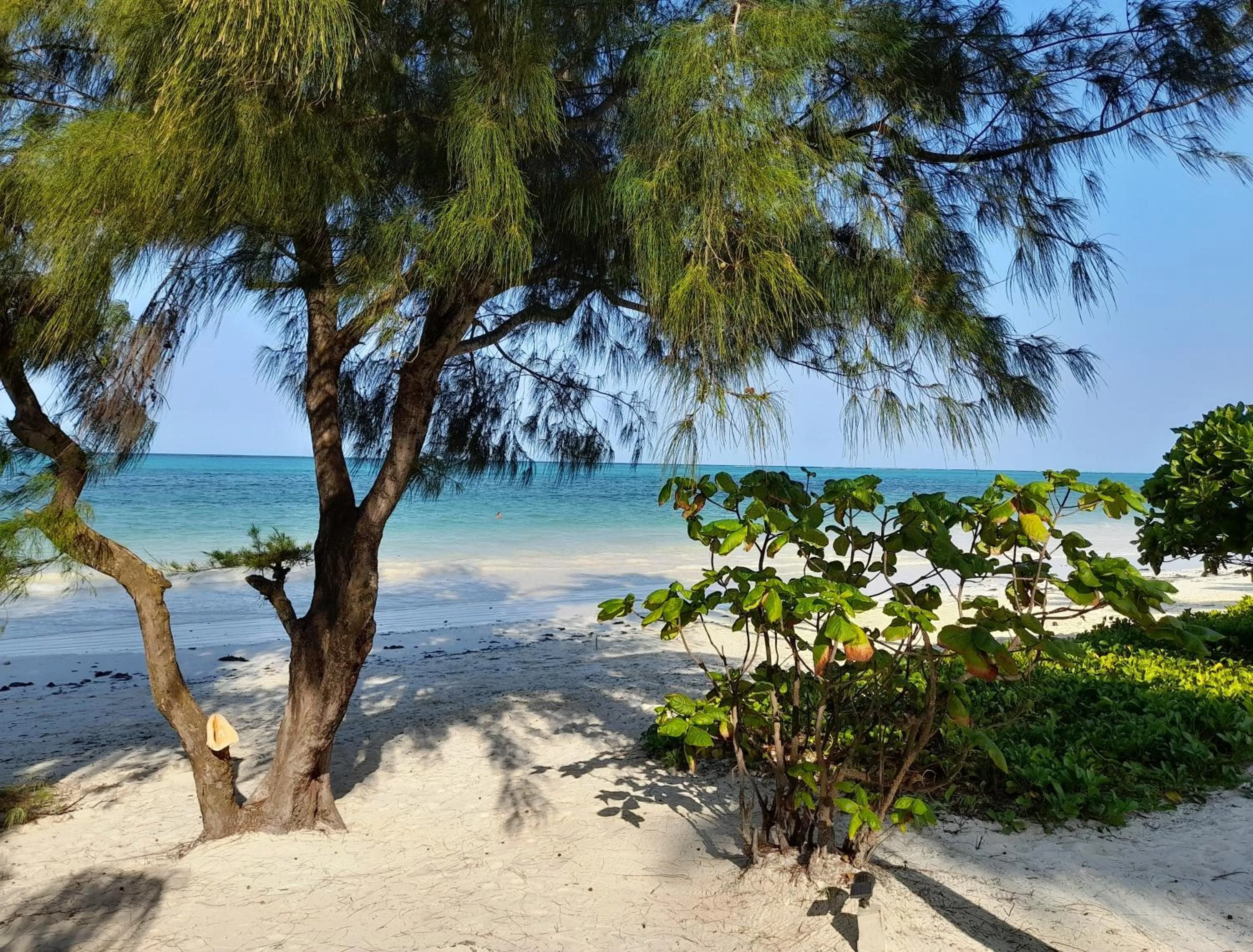 Staff in Kijani Beach Villas