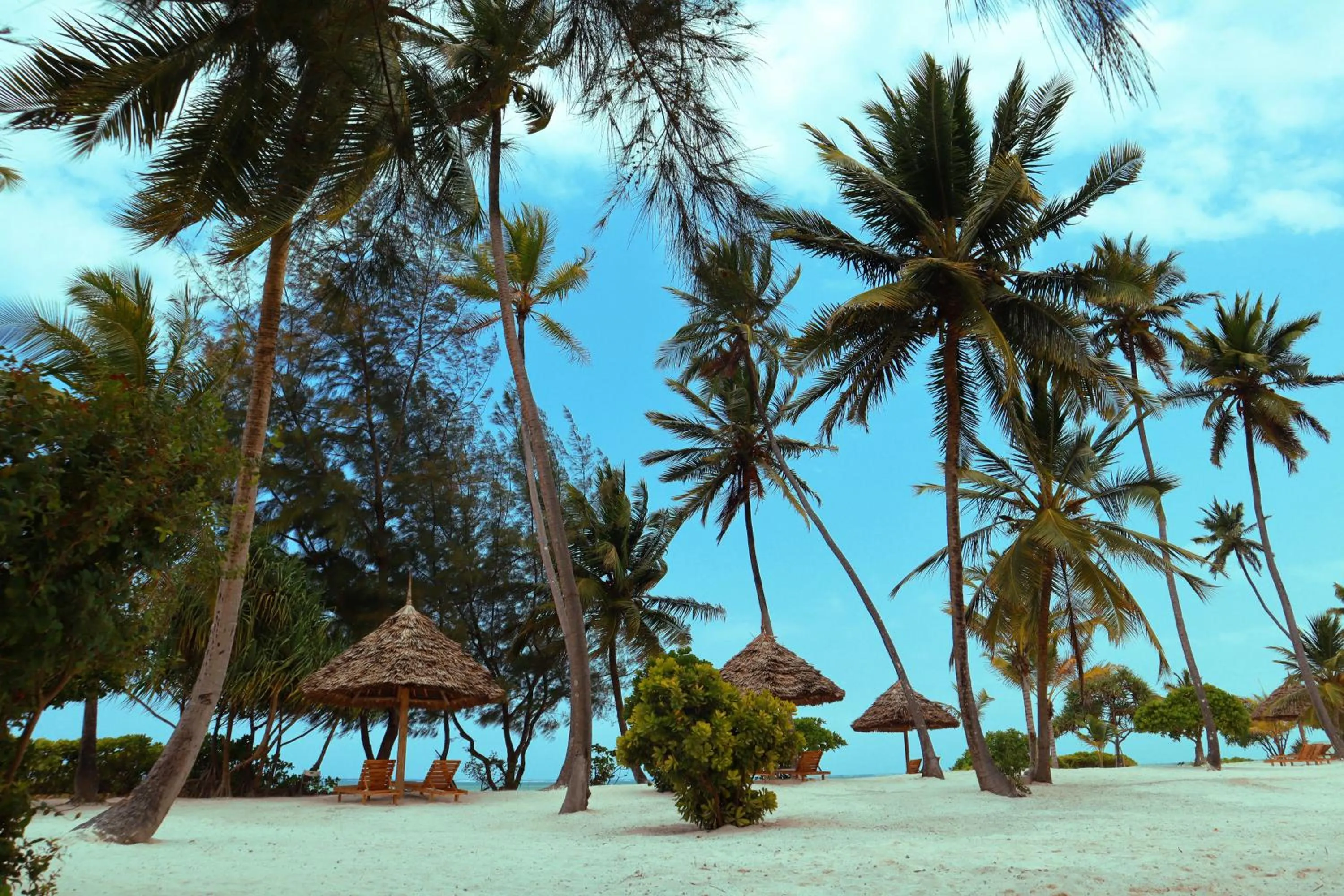 View (from property/room) in Kijani Beach Villas