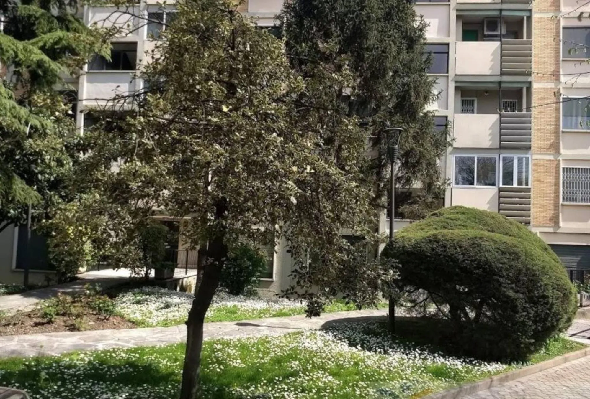 Property building in B&B Giolì