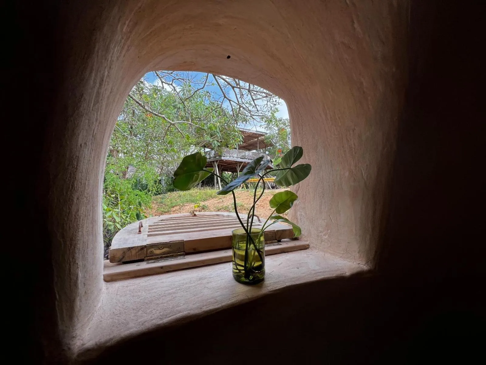 Distant Relatives Ecolodge & Backpackers