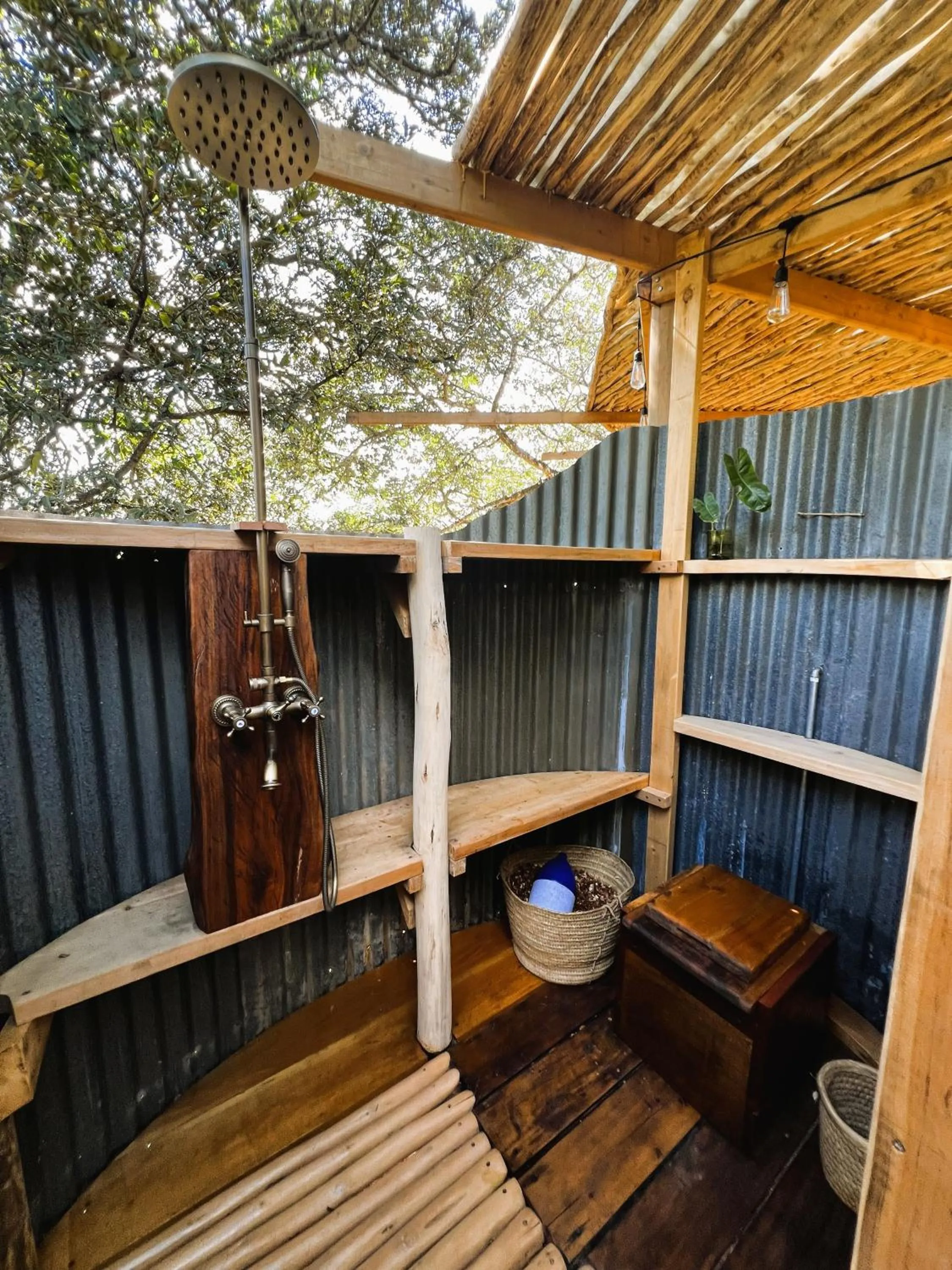 Distant Relatives Ecolodge & Backpackers