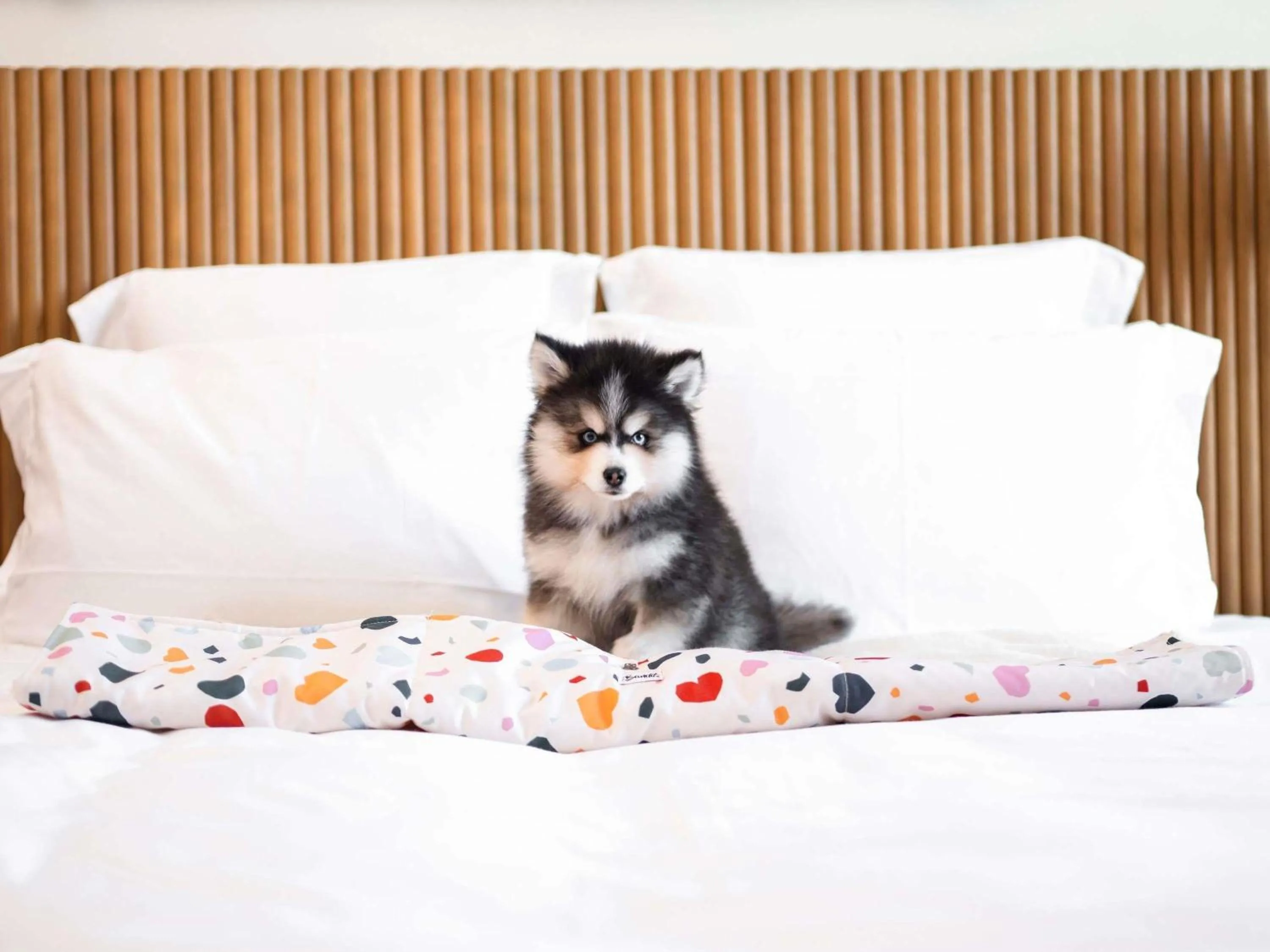 Other in Mama Shelter Prague