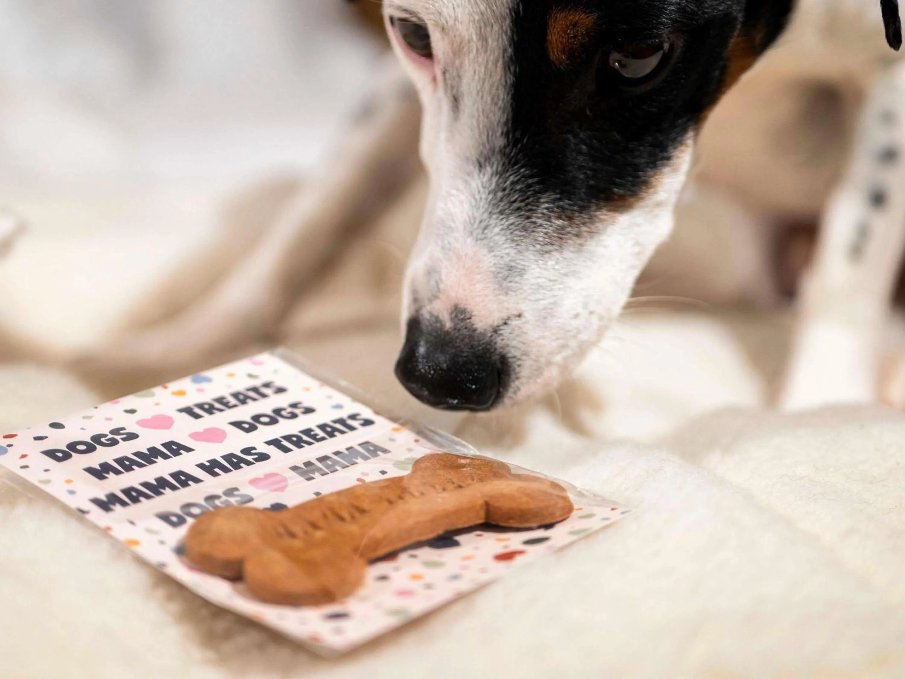 Other in Mama Shelter Prague