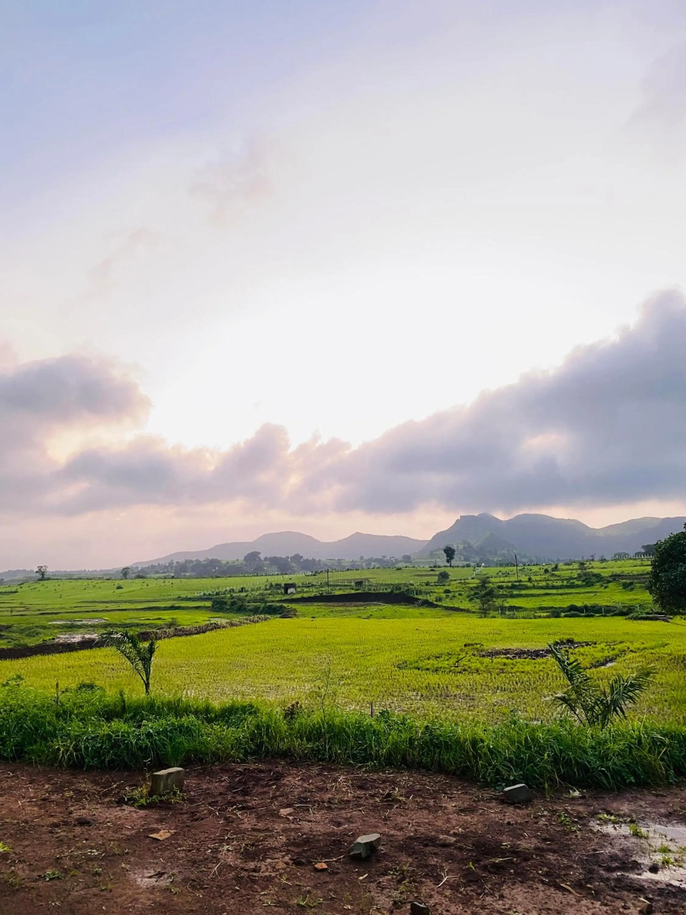 View (from property/room) in Mountain N Lake Resort