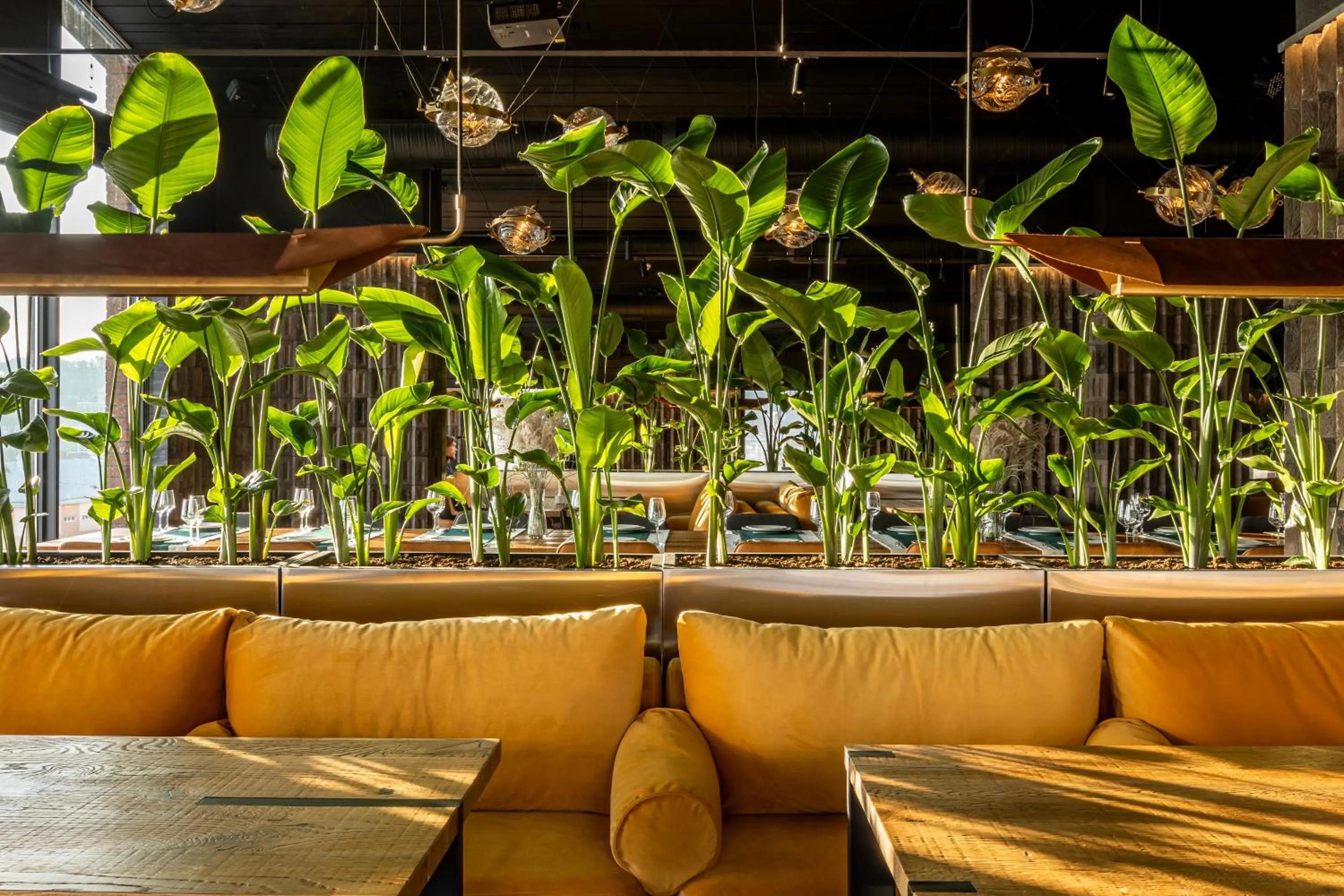 Restaurant/places to eat in Loft7