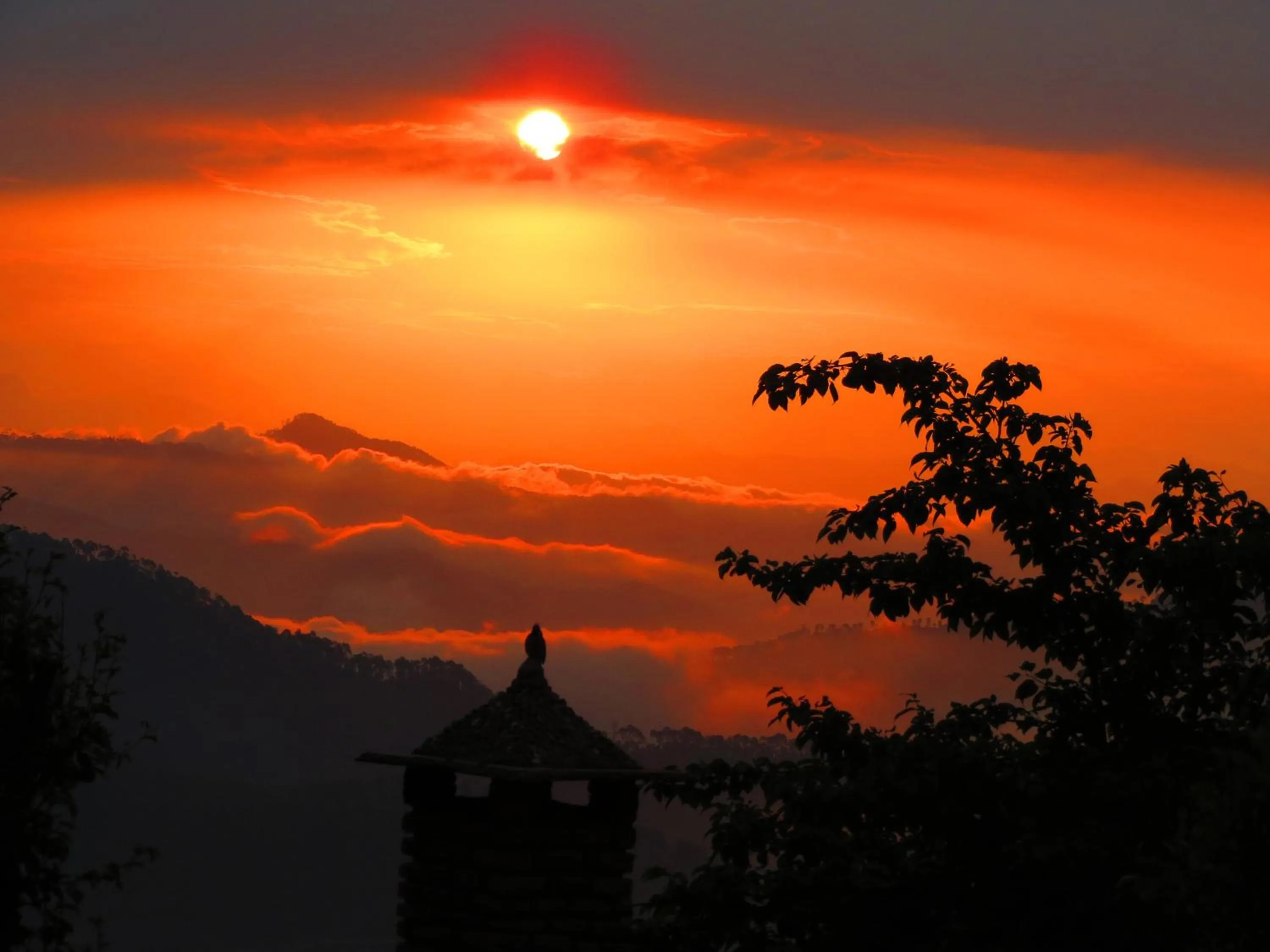 View (from property/room) in Himalaya Darshan Resort