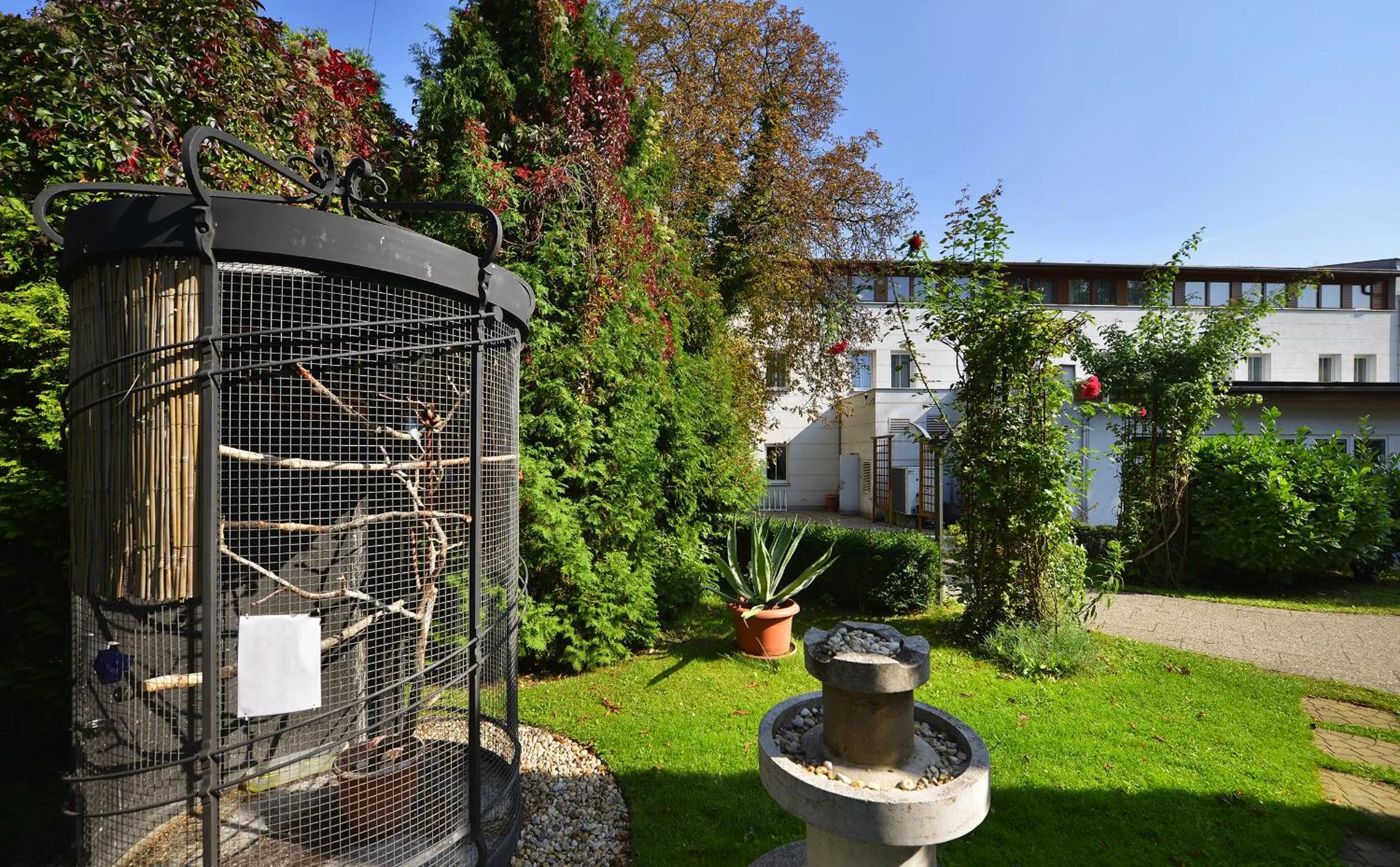 Garden in EA Hotel Populus