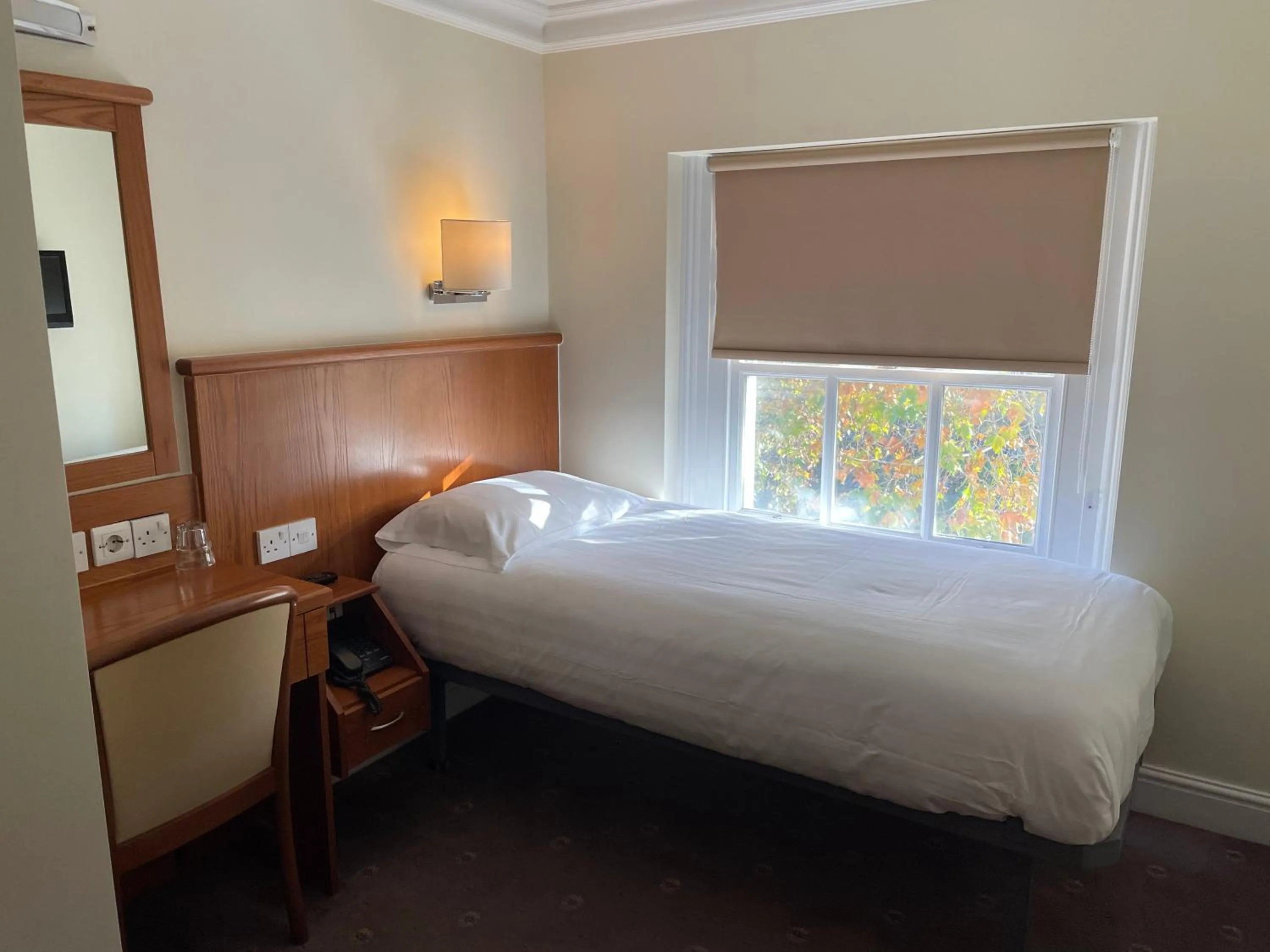 Photo of the whole room, Bed in Orchard Hotel