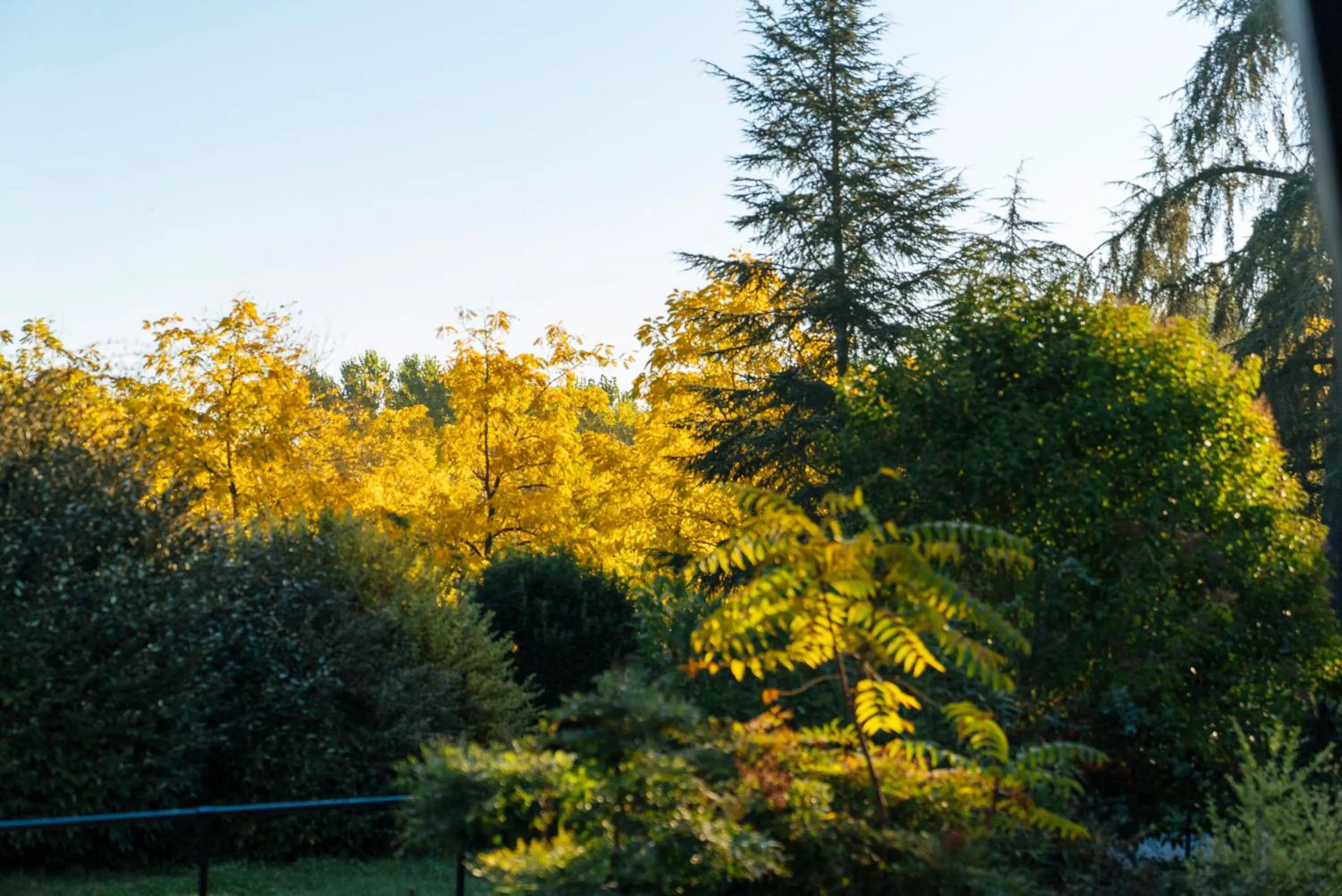 Garden in Hotellerie de l'Abbaye du Désert