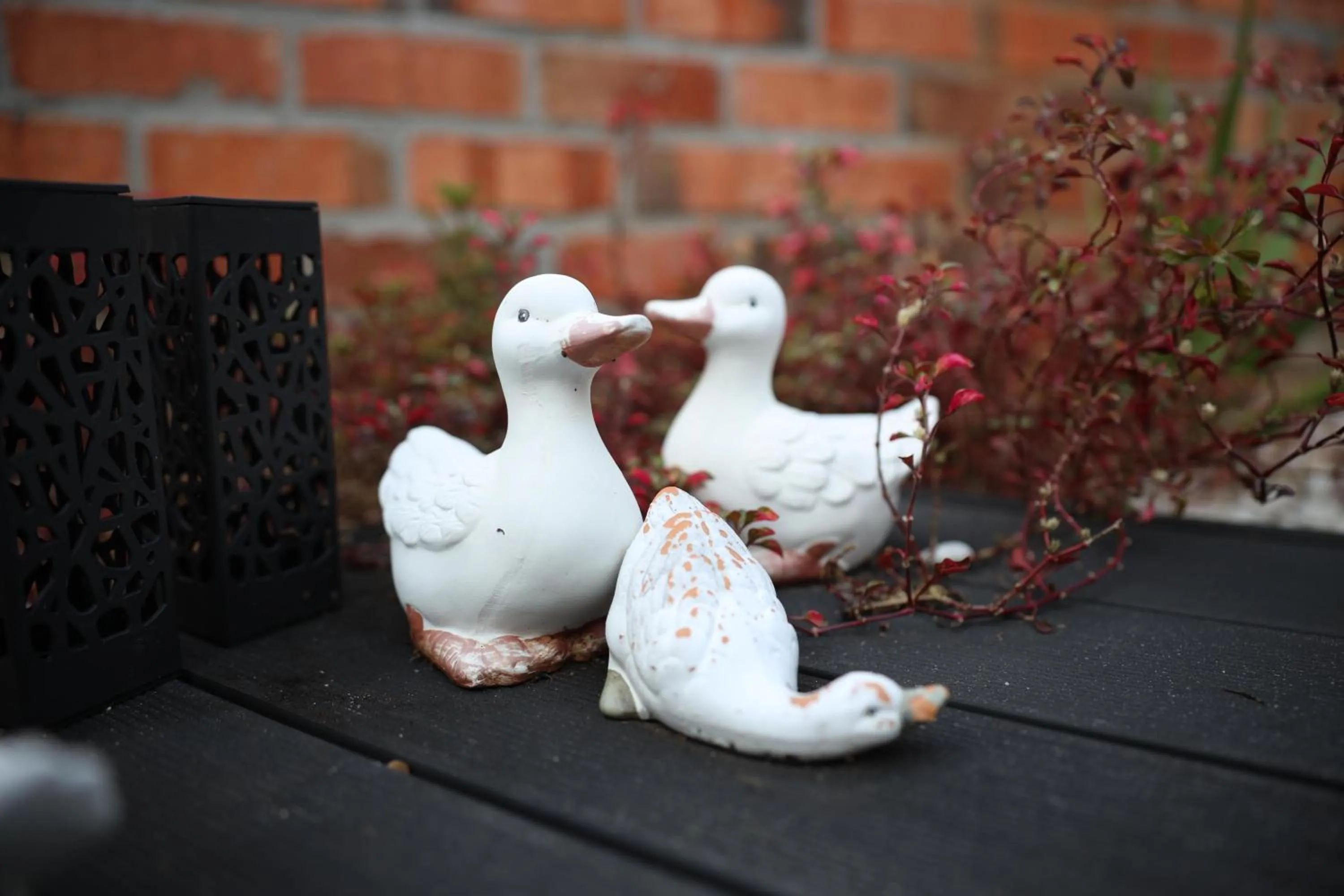 Animals in Vintage Villa Langkawi