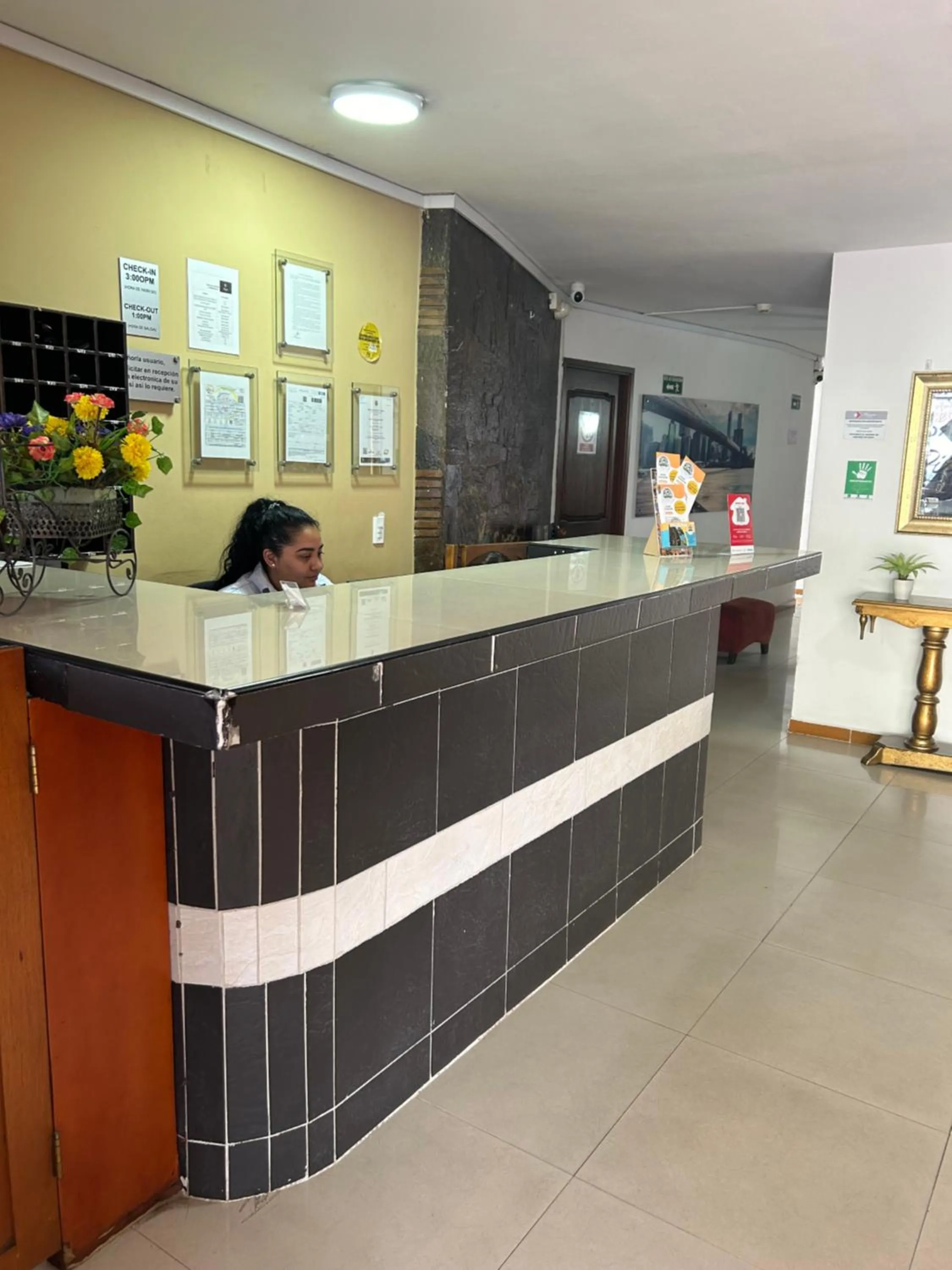 Lobby or reception in Hotel Picasso 70