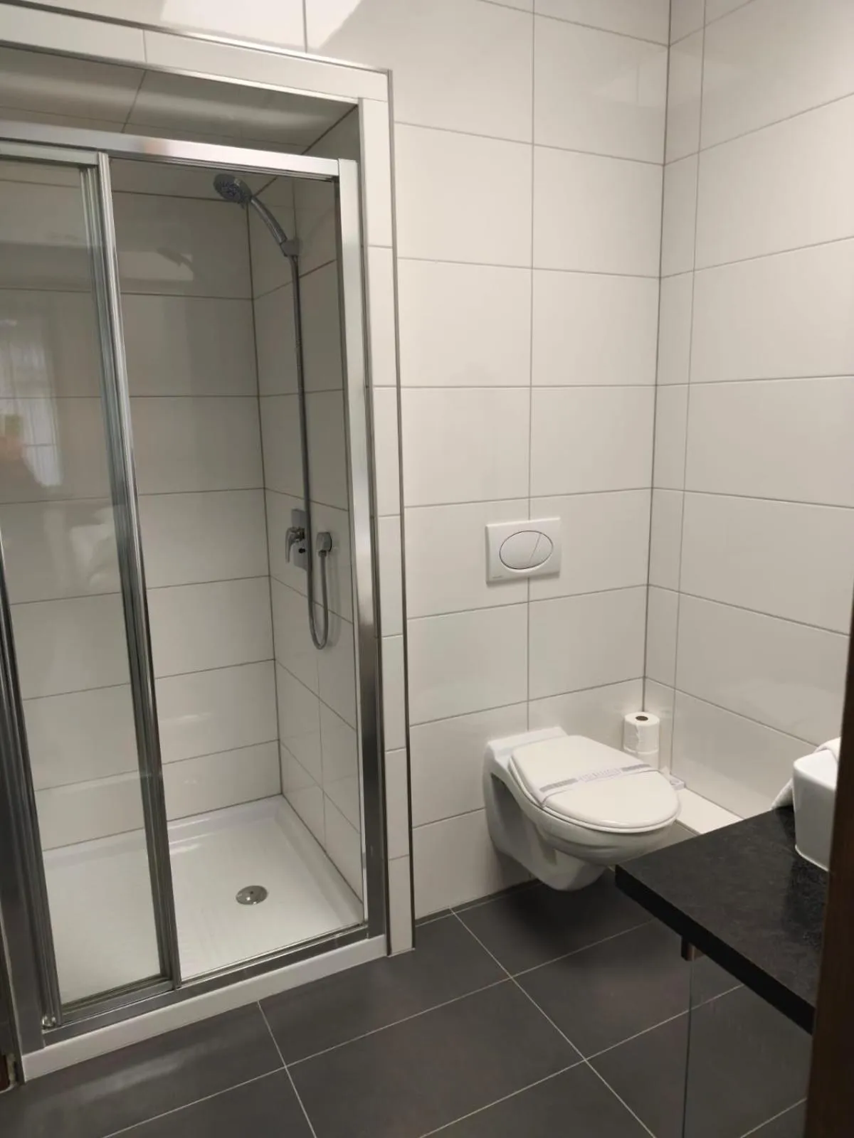 Bathroom in Hotel Plzeň