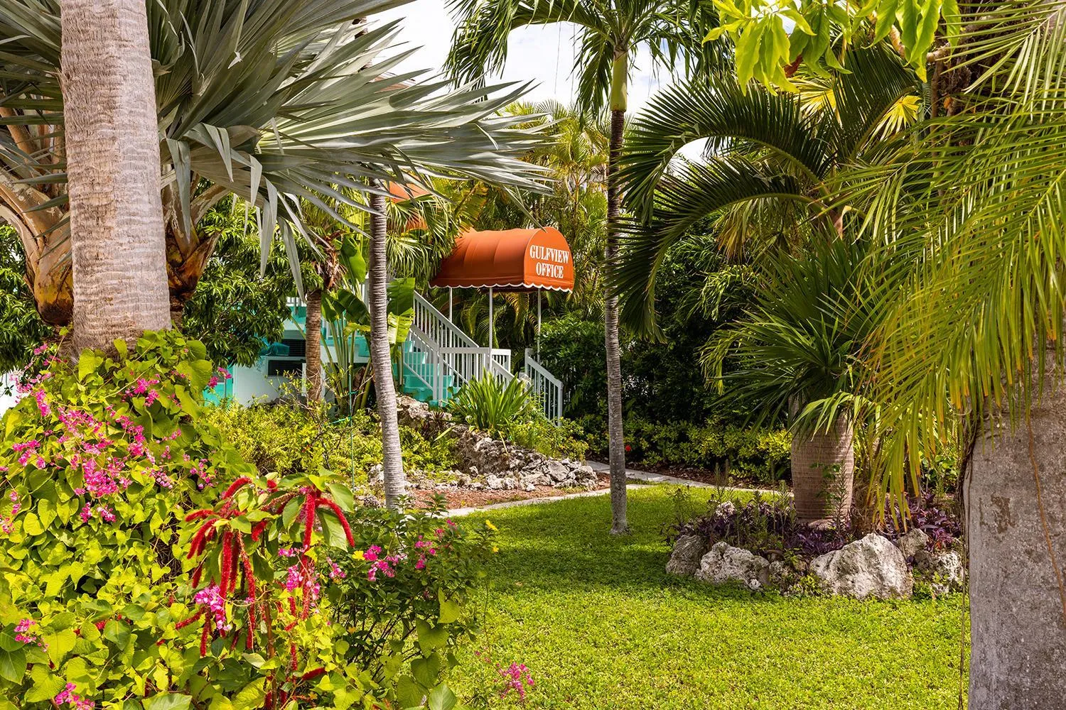 Natural landscape in Gulf View Waterfront Resort