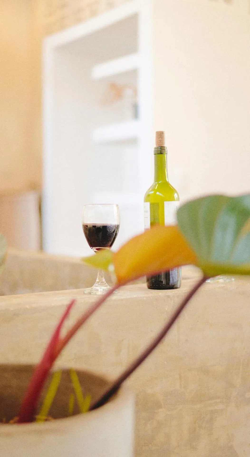 Drinks in La Casa del Totumo