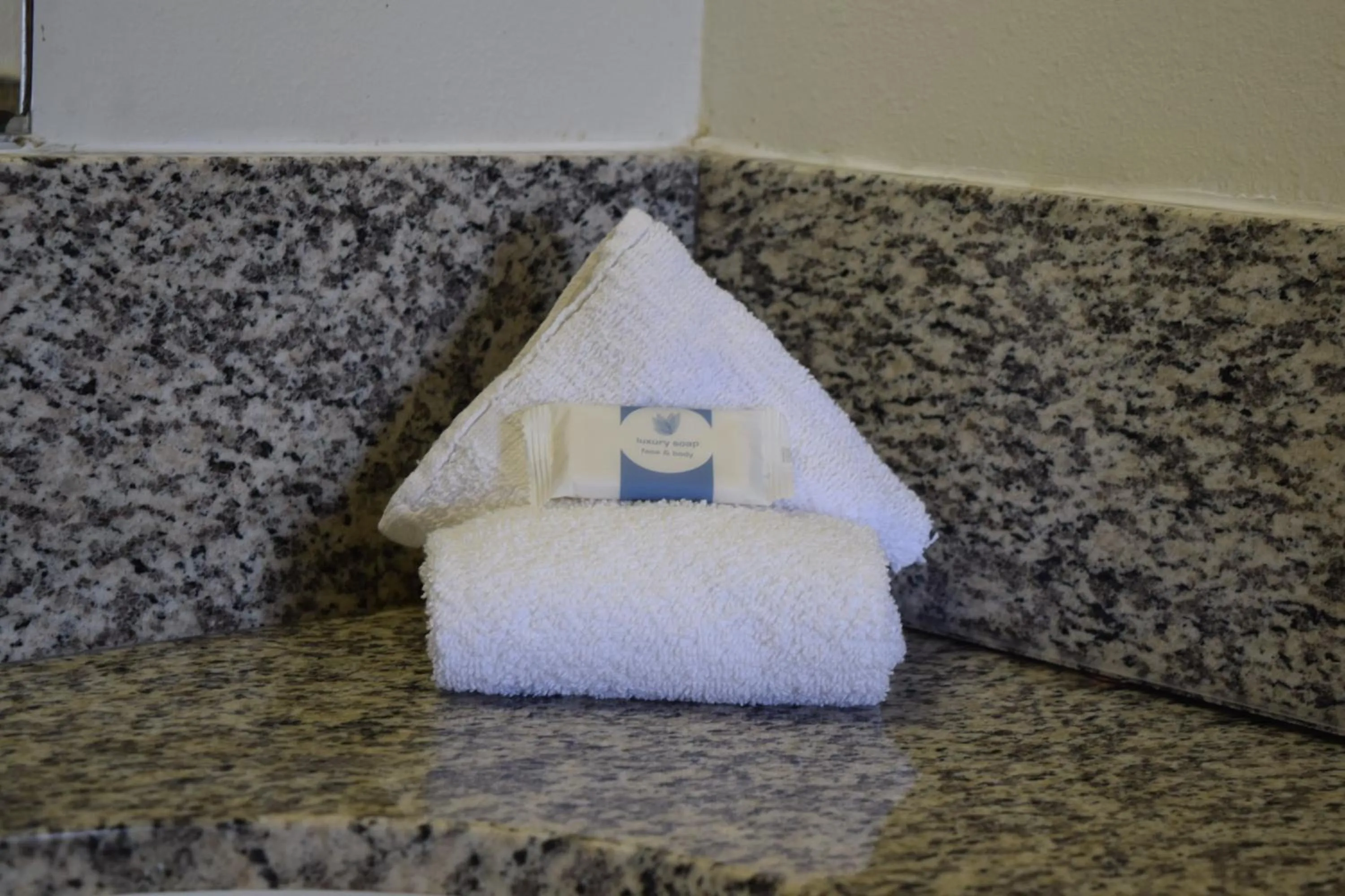 Bathroom in Value Inn - Livonia