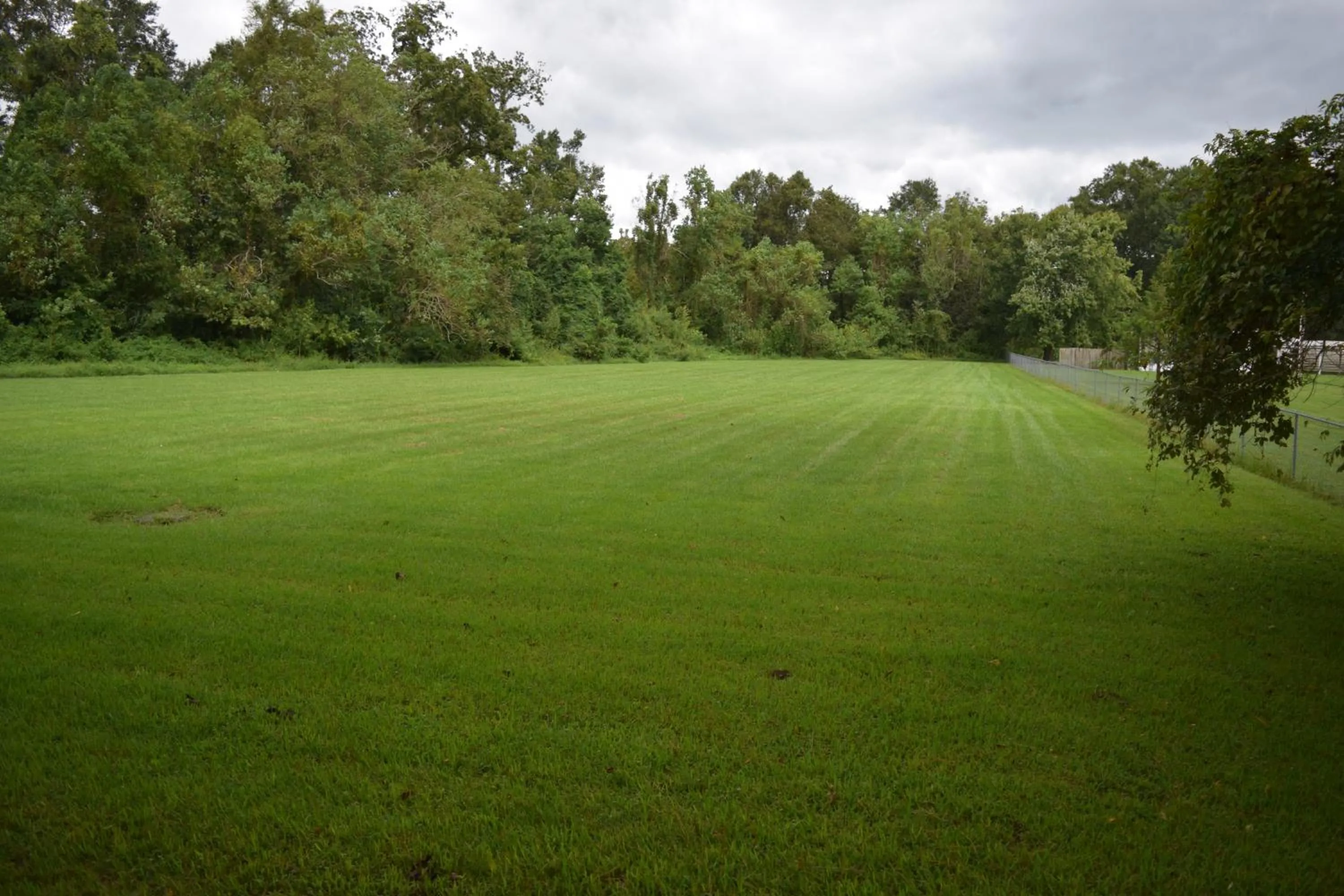 View (from property/room) in Value Inn - Livonia
