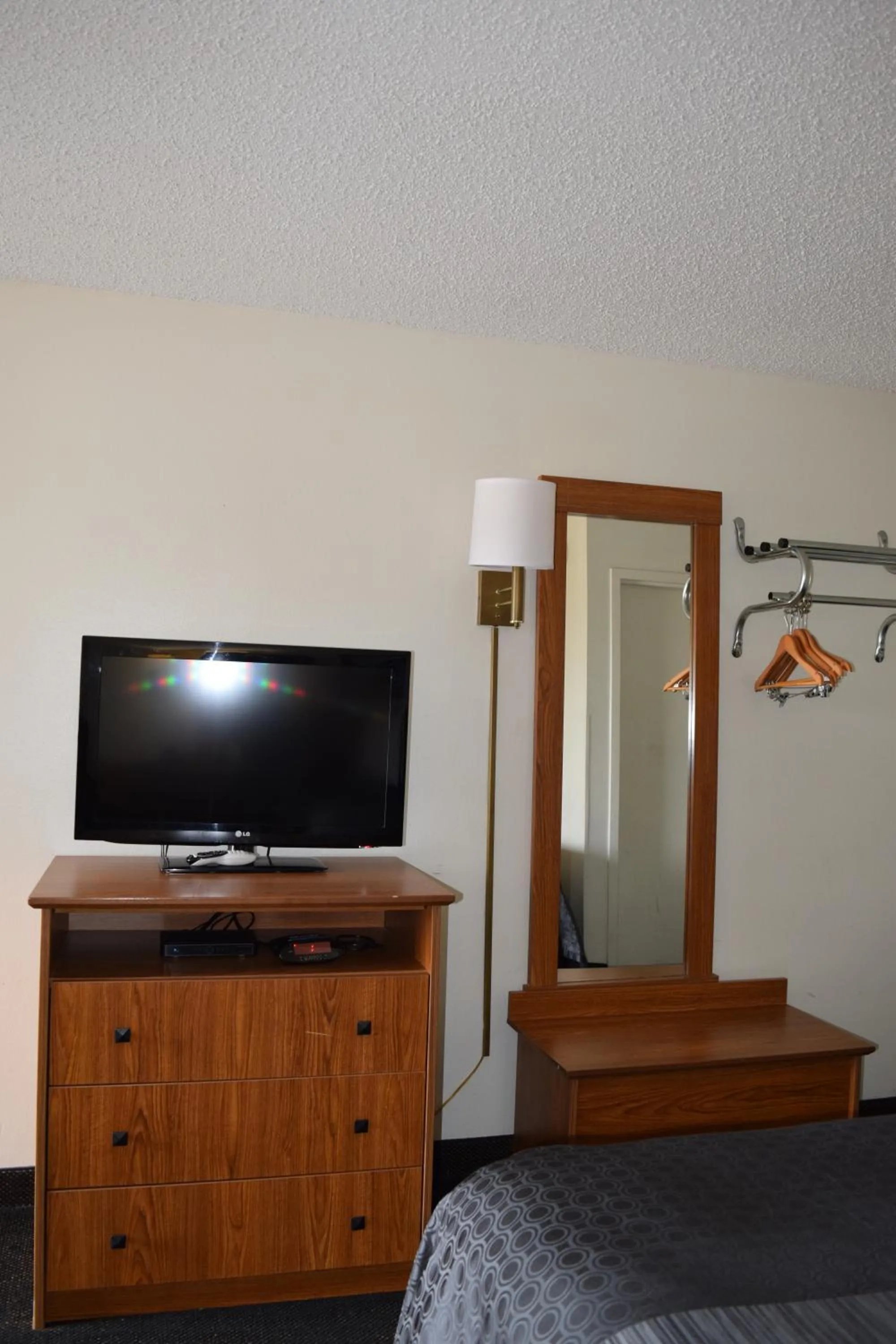 TV and multimedia in Value Inn - Livonia