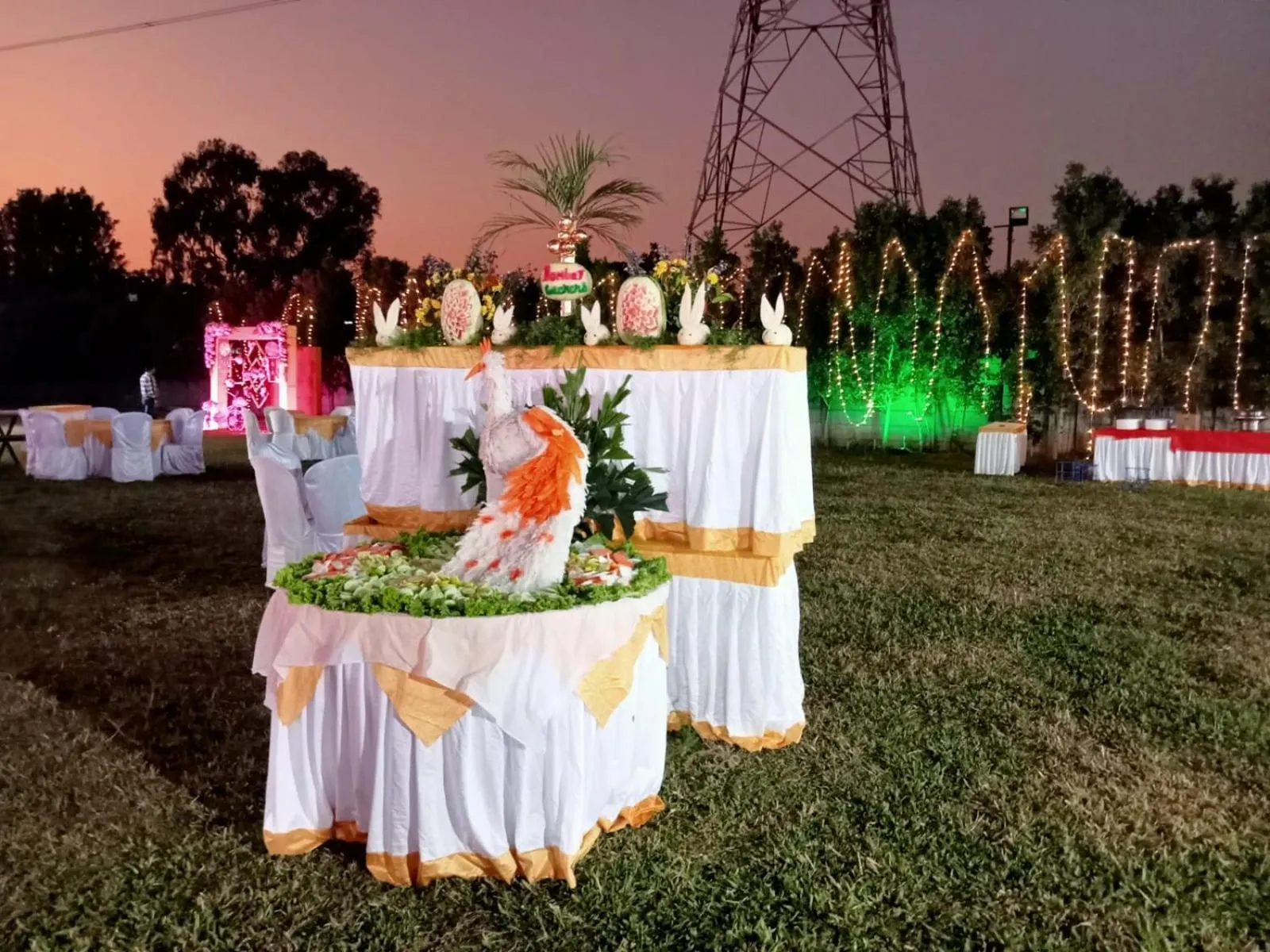 Banquet/Function facilities in Vistar Resort & Hotels