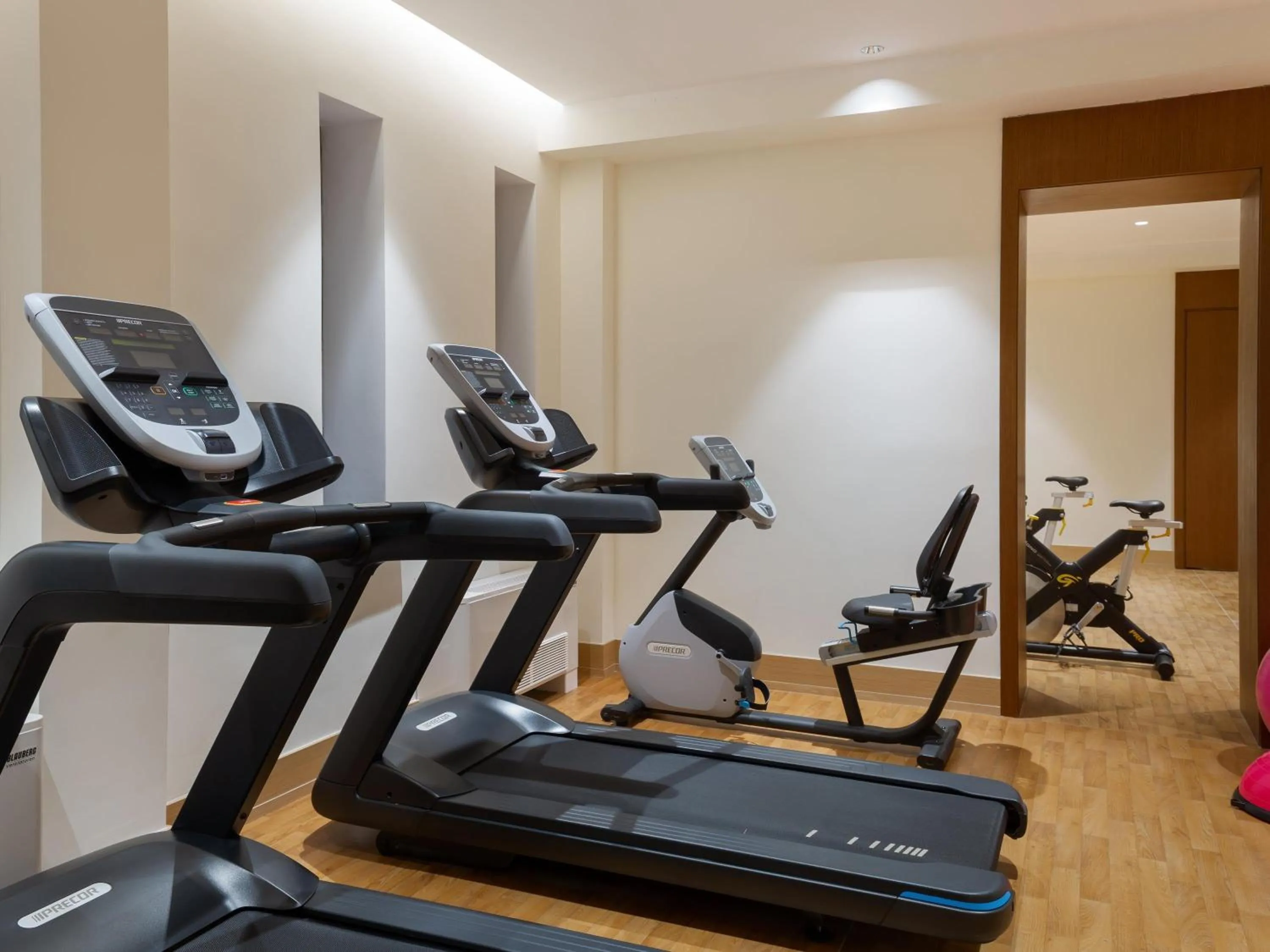 Fitness centre/facilities in Swissôtel Wellness Resort Alatau Almaty