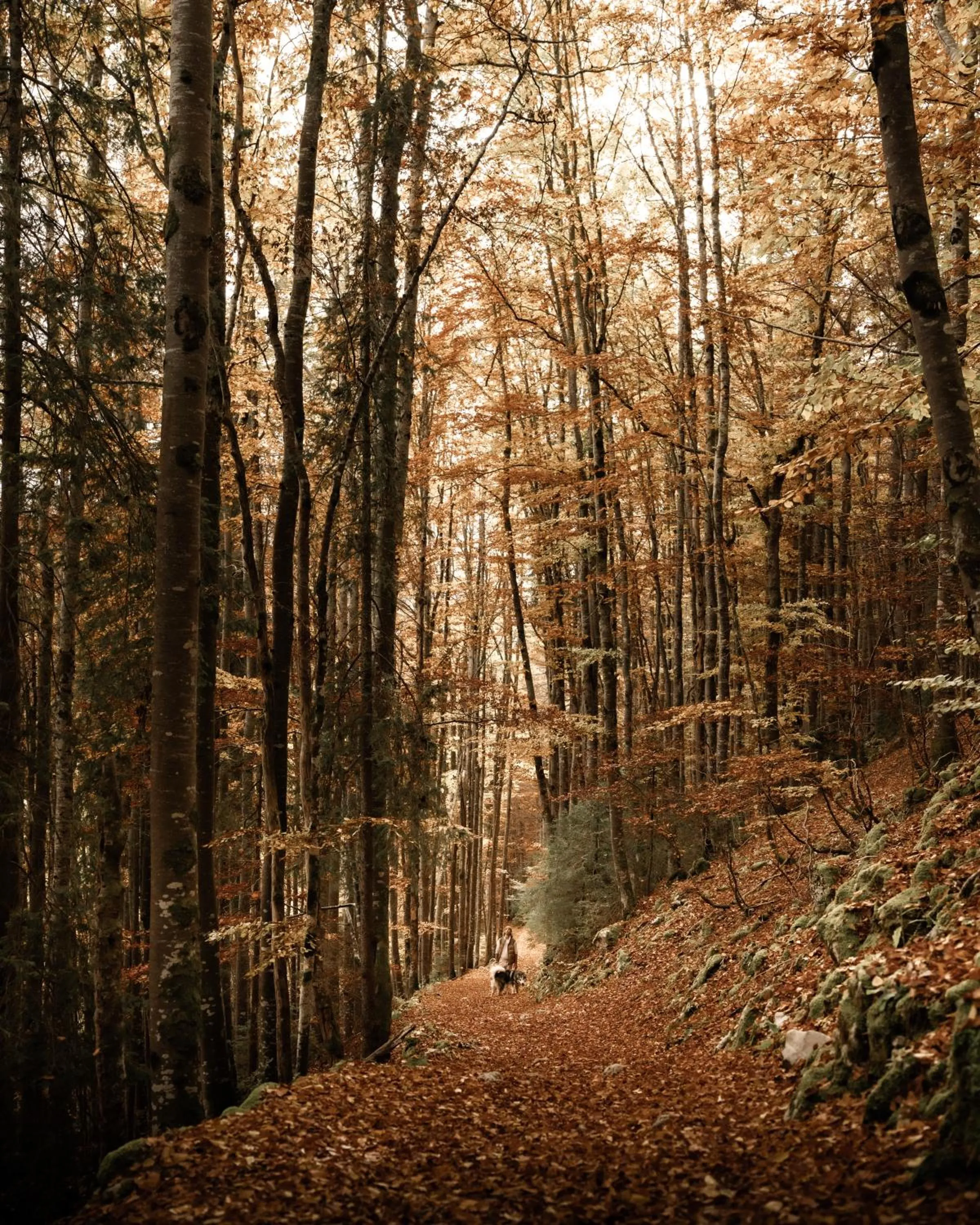 Seasons in Hôtel des Horlogers