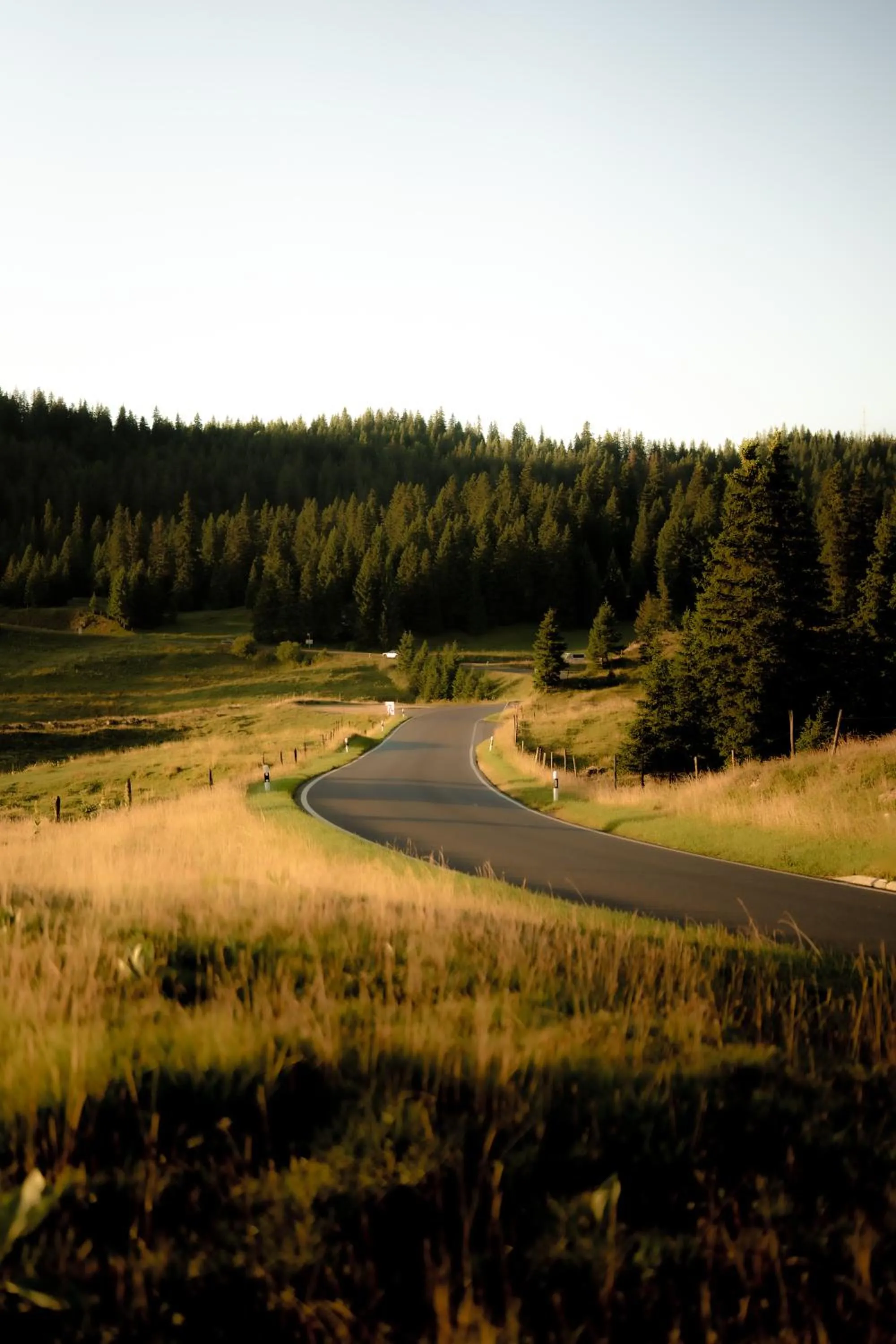 Natural landscape in Hôtel des Horlogers